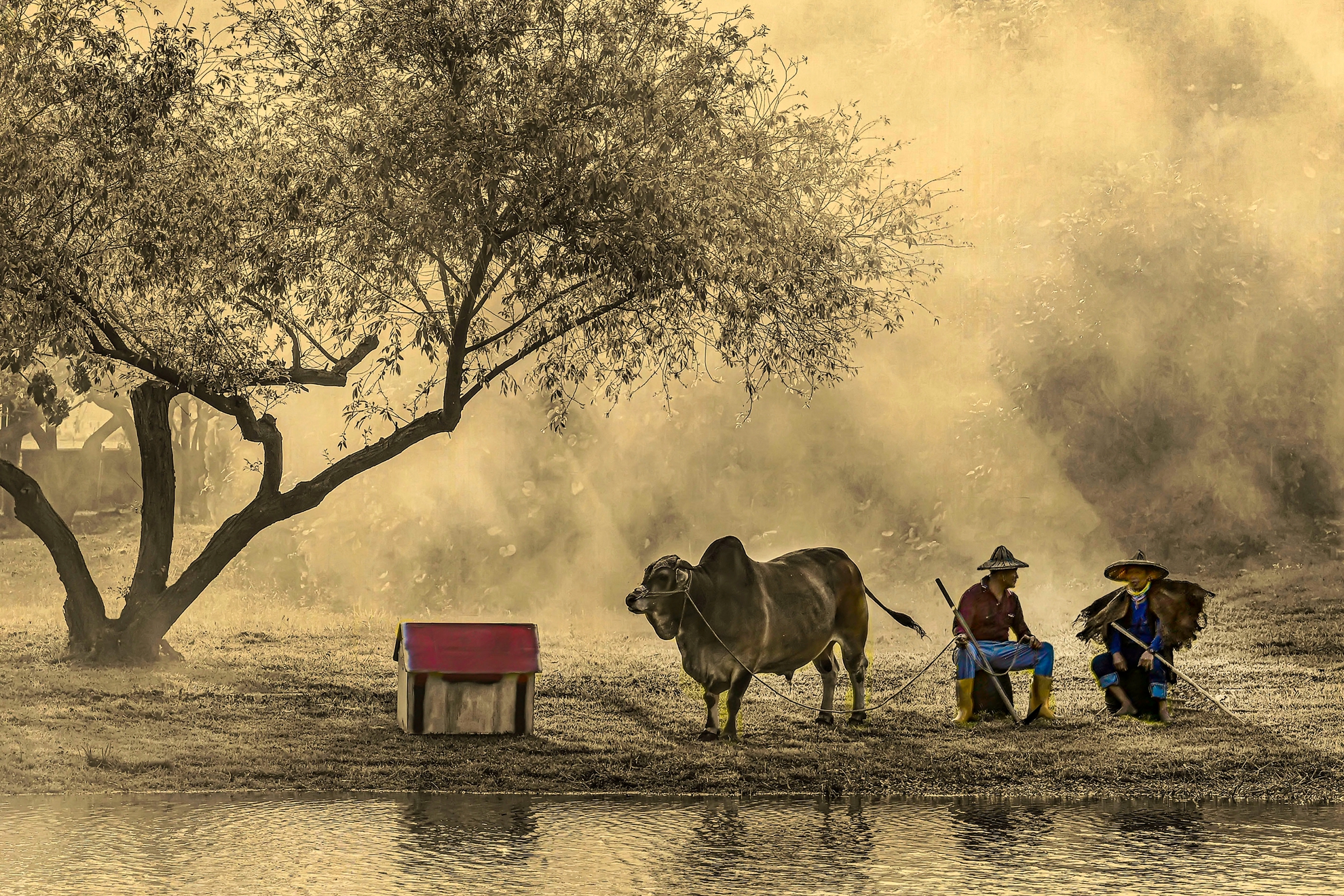 11月入選-陳泓文-閒聊