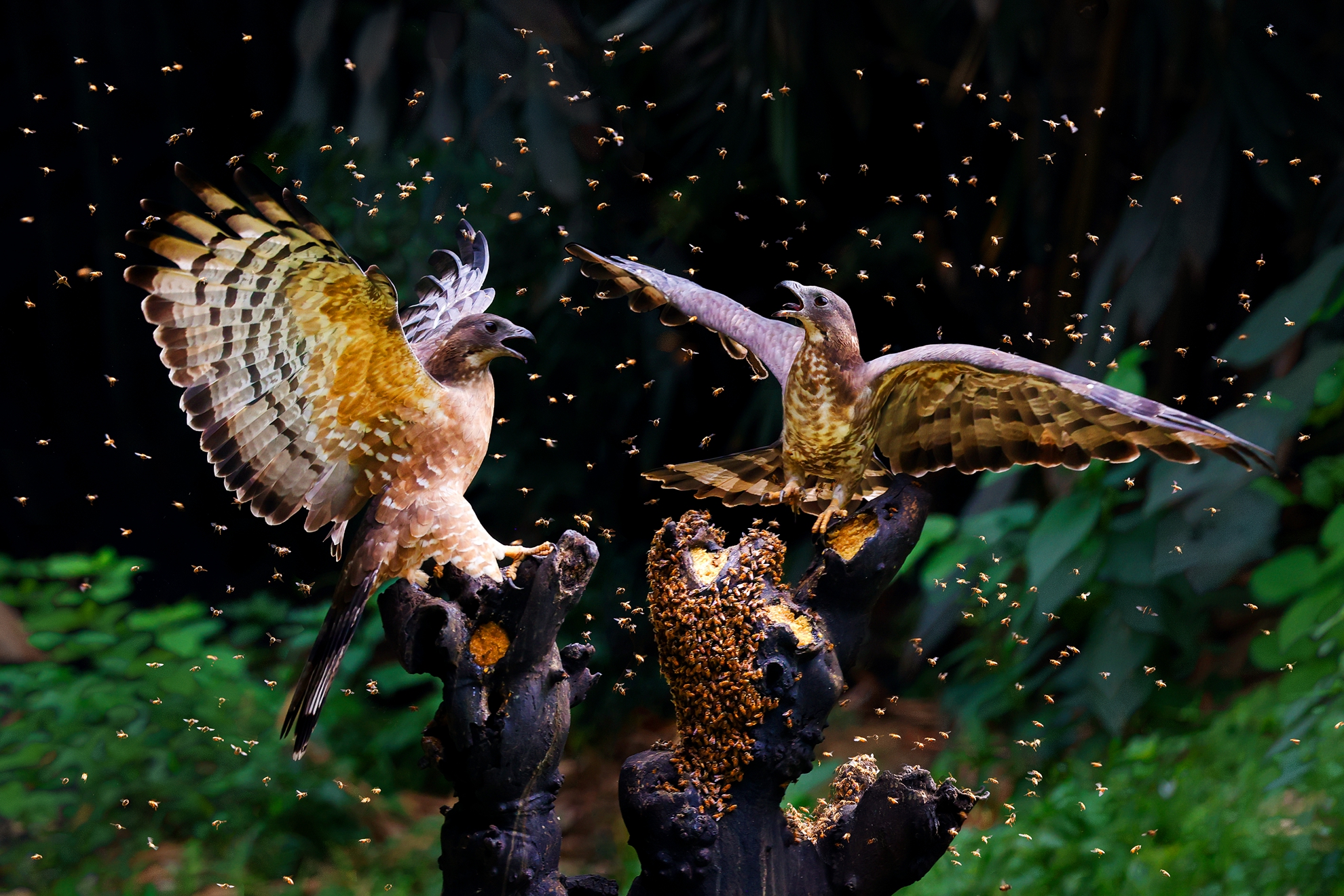 12月佳作-邱瑞山-爭執