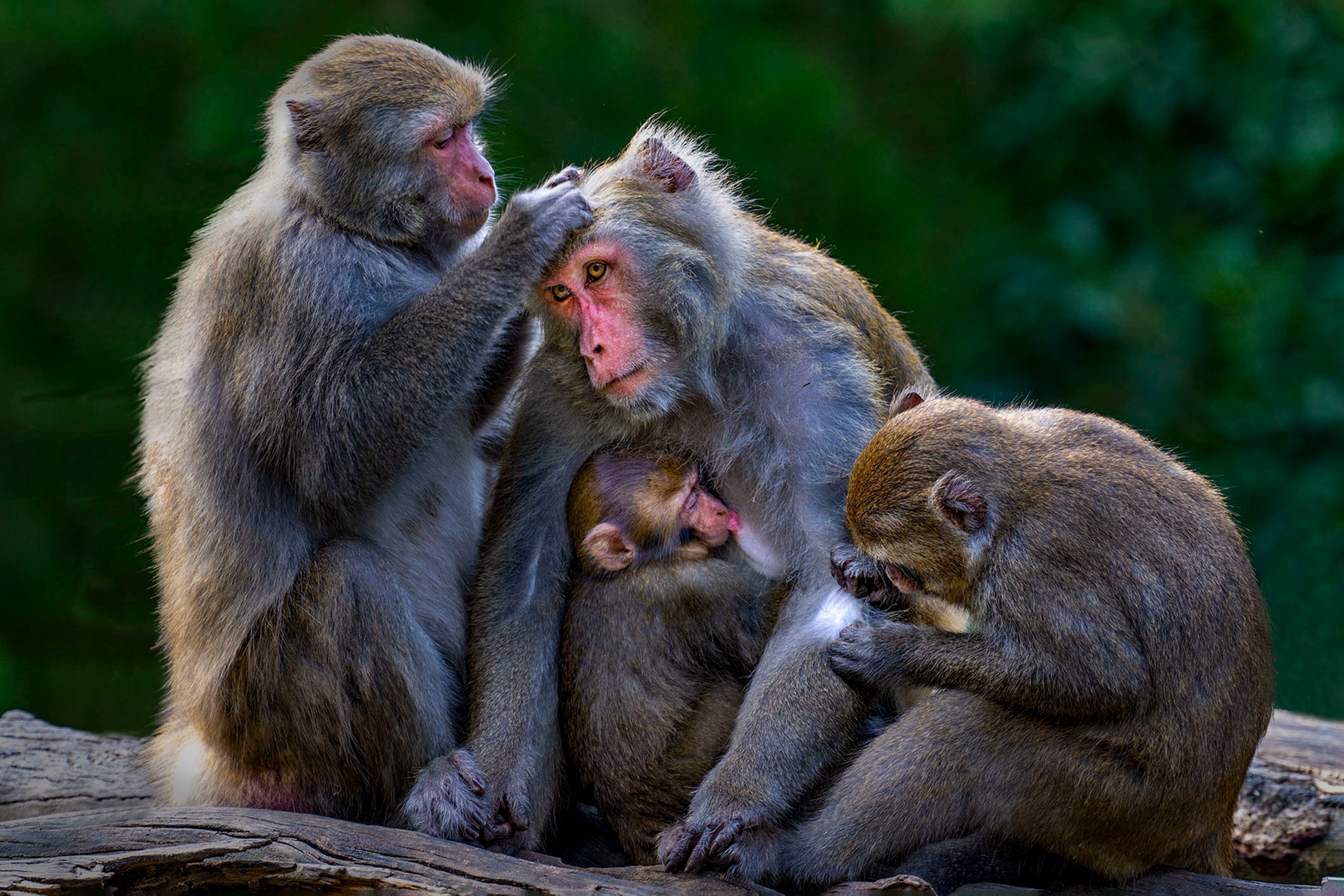 12月佳作-陳泓文-享受