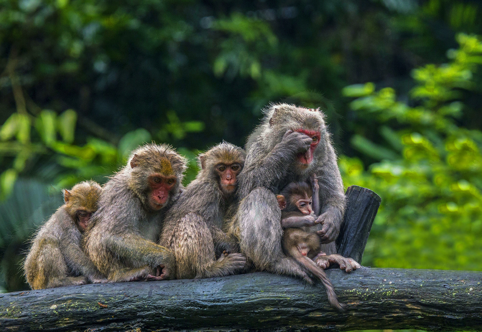 12月入選-陳翠娥-排排站