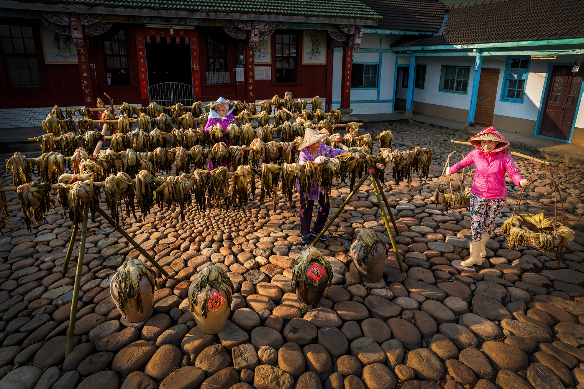 1月-入選-曬福菜-戴志英