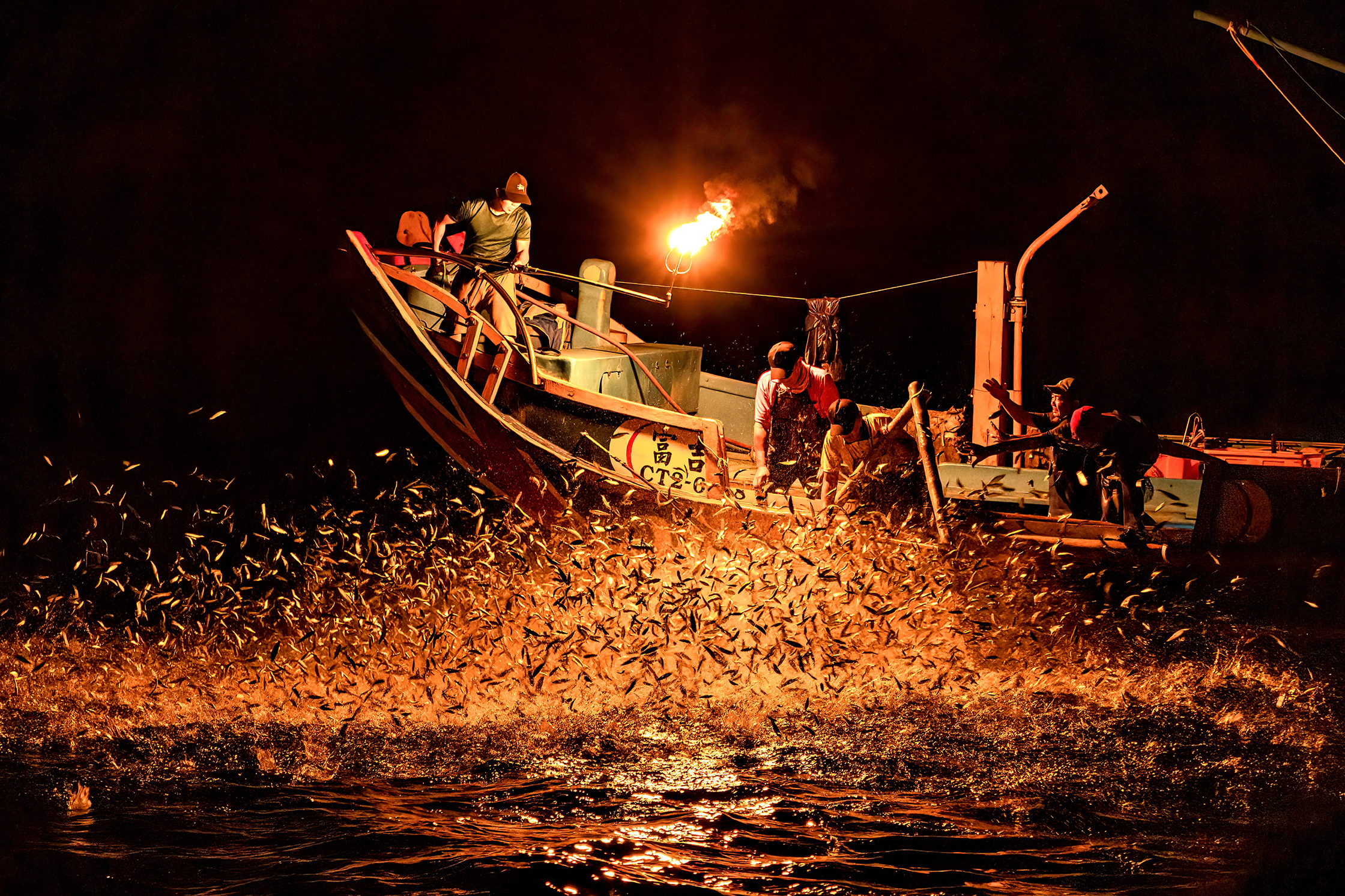 二月-佳作-豐收-何為今