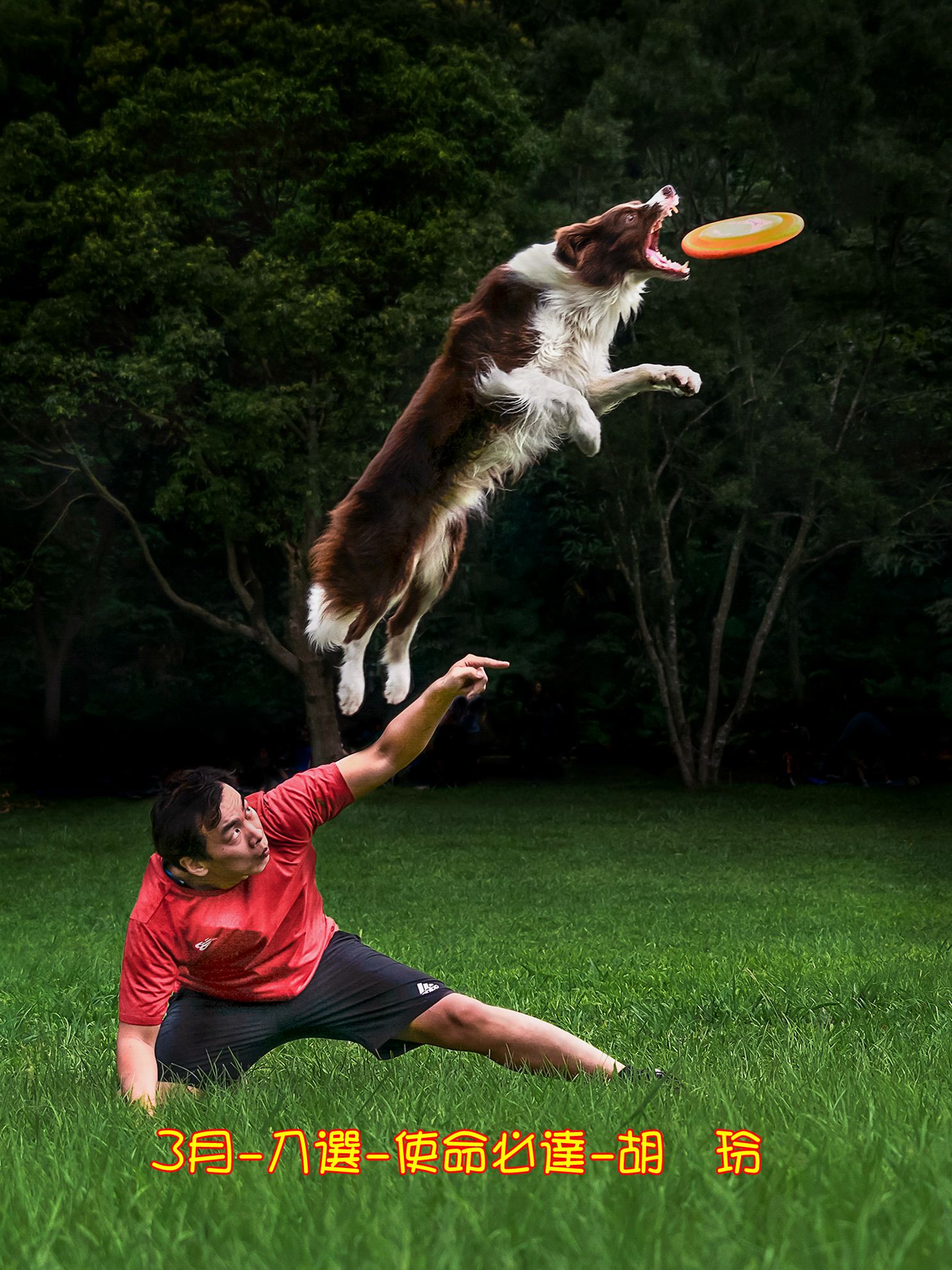 3月-入選-使命必達-胡菀玲