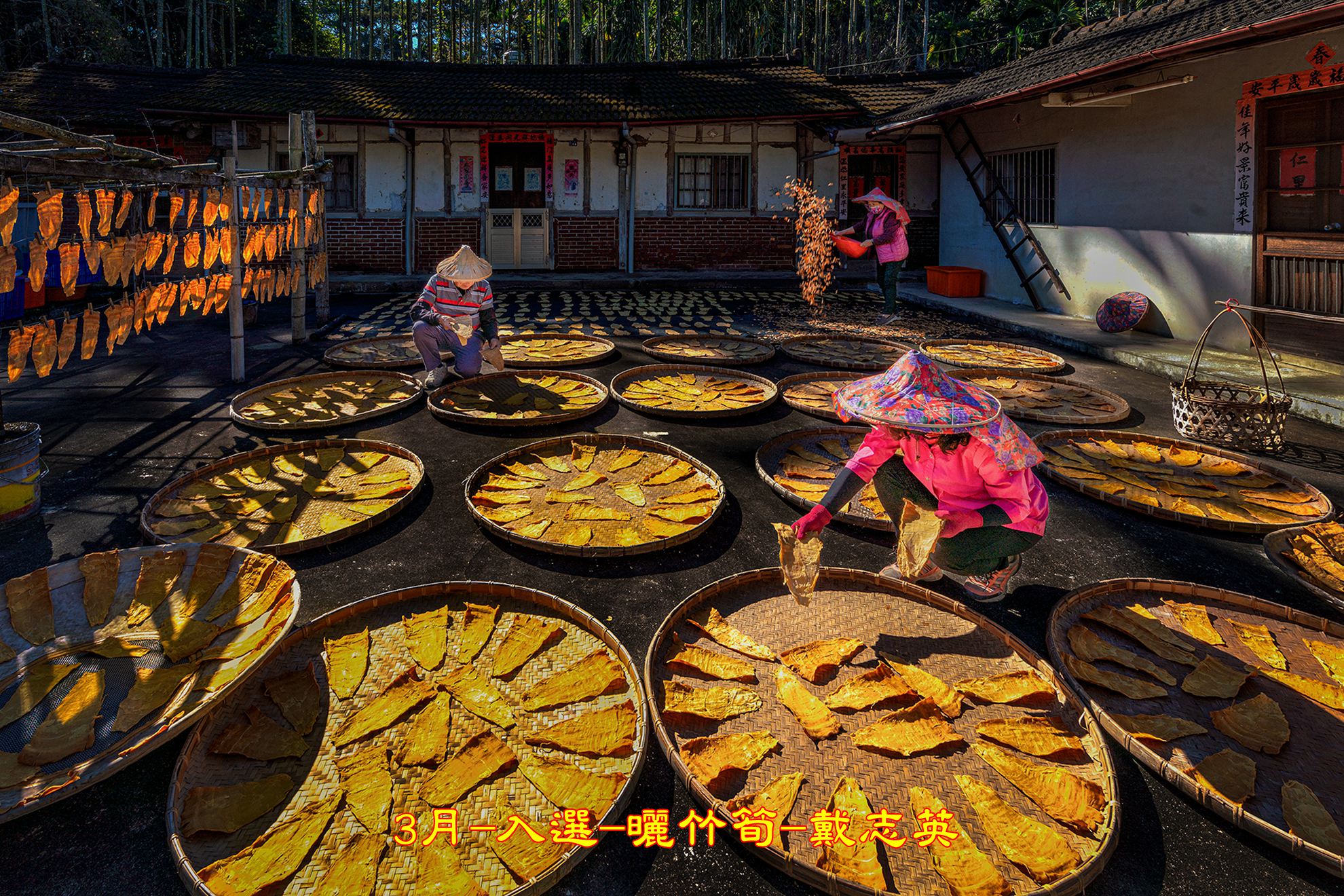 3月-入選-曬竹筍-戴志英