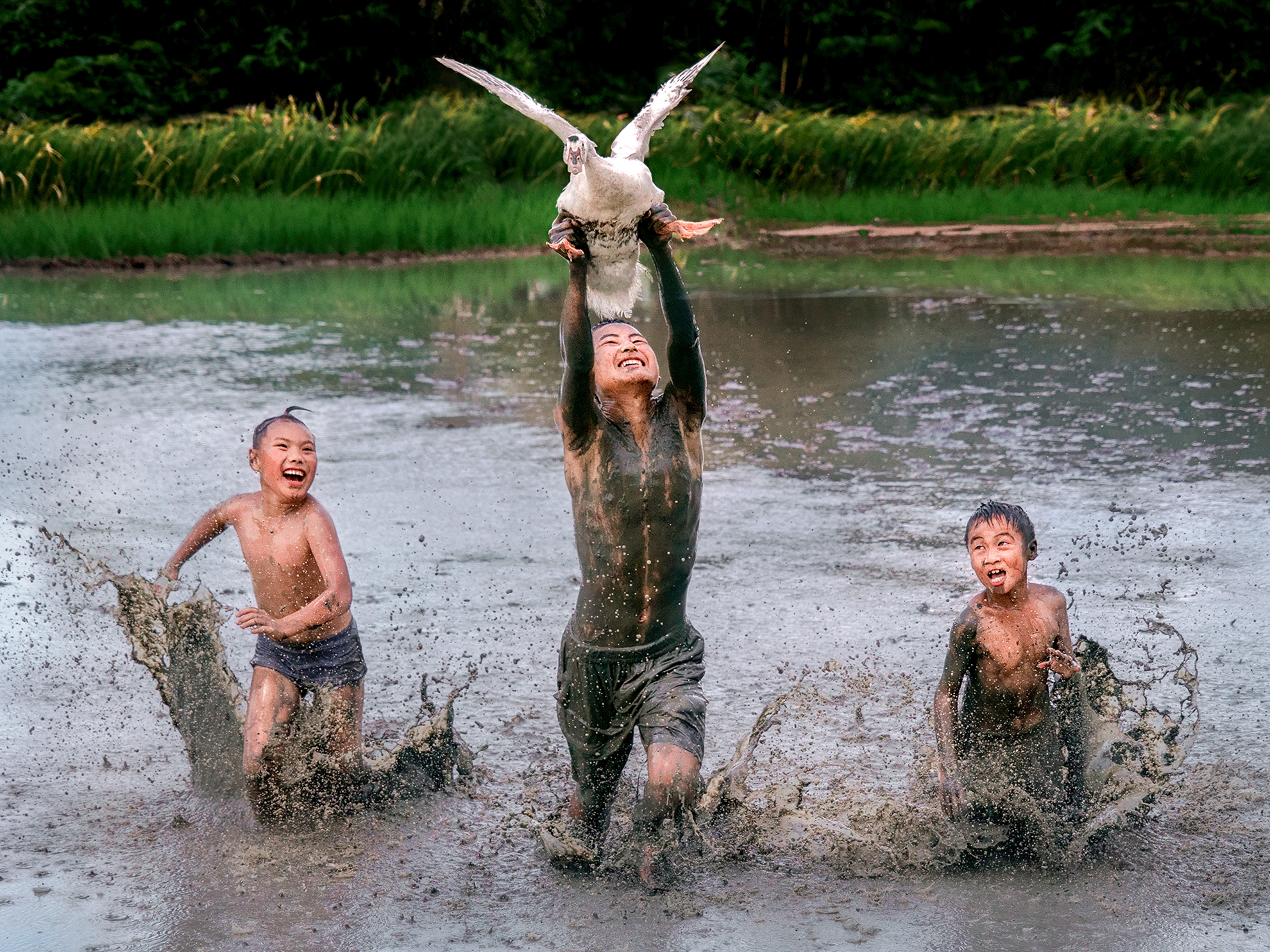 4月-佳作-童趣飛天鴨-胡菀玲