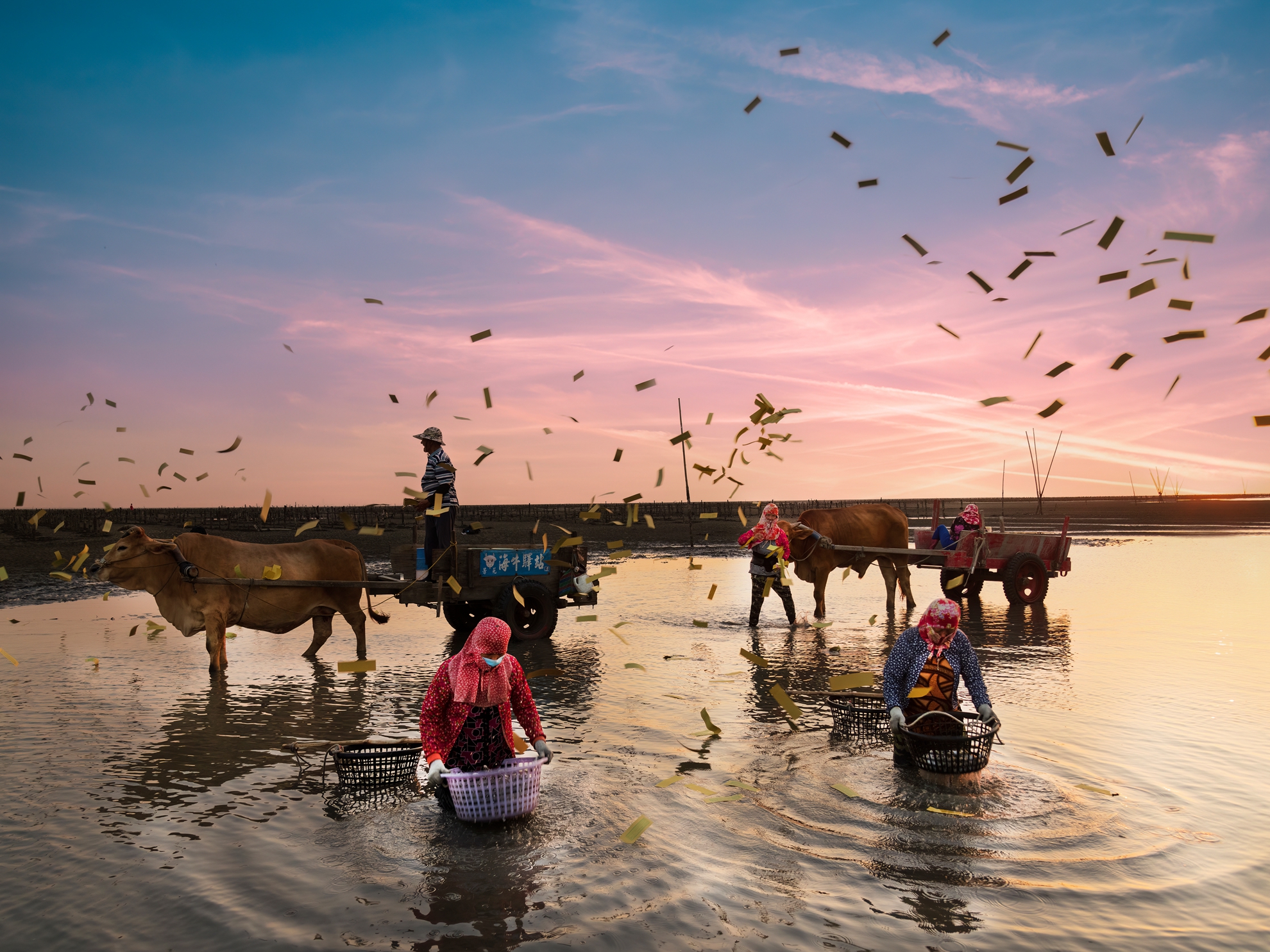 4月-入選-海牛採蚵-吳(糸秀)華