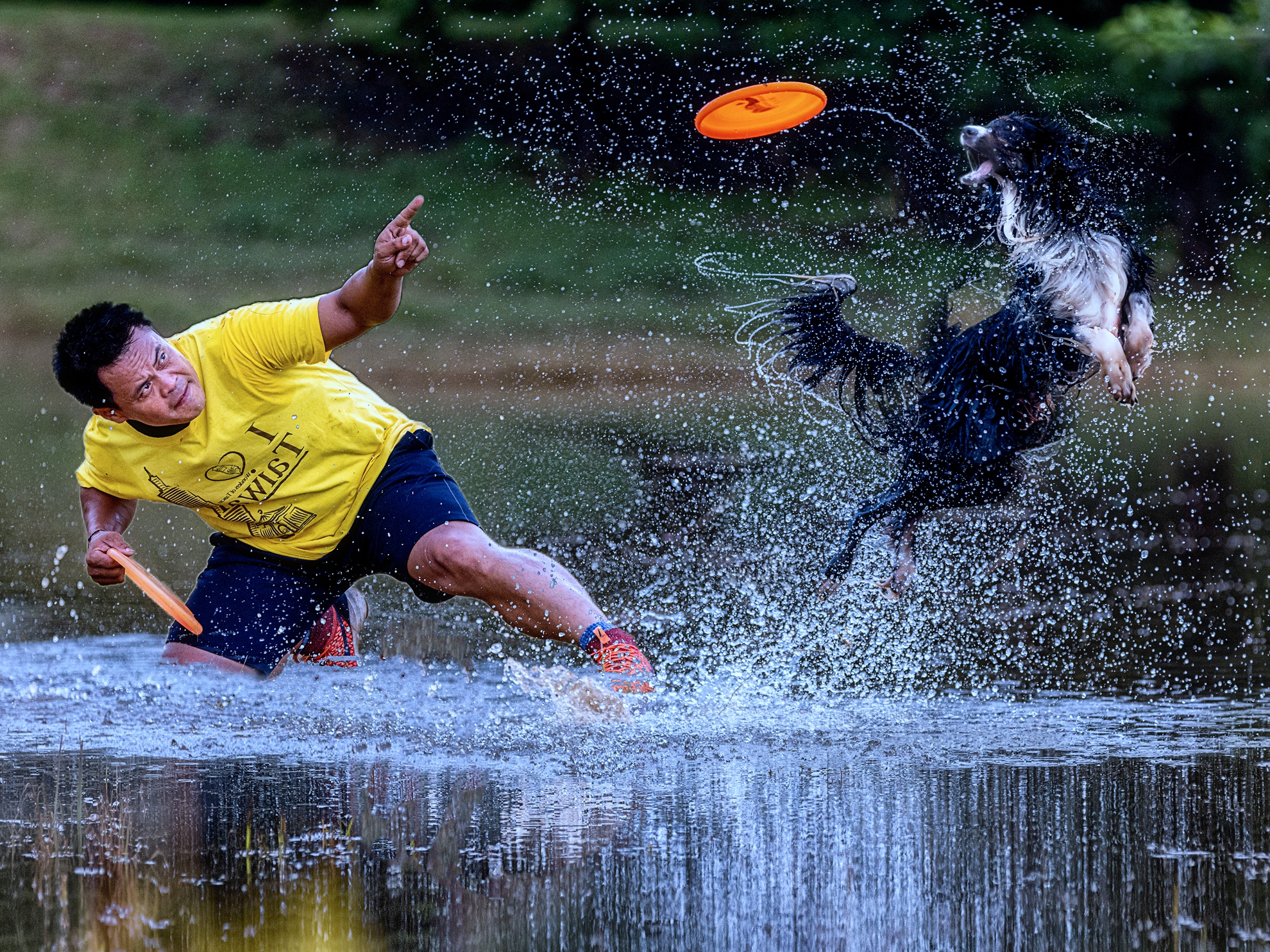 5月-優選-飛盤狗-黃清圳