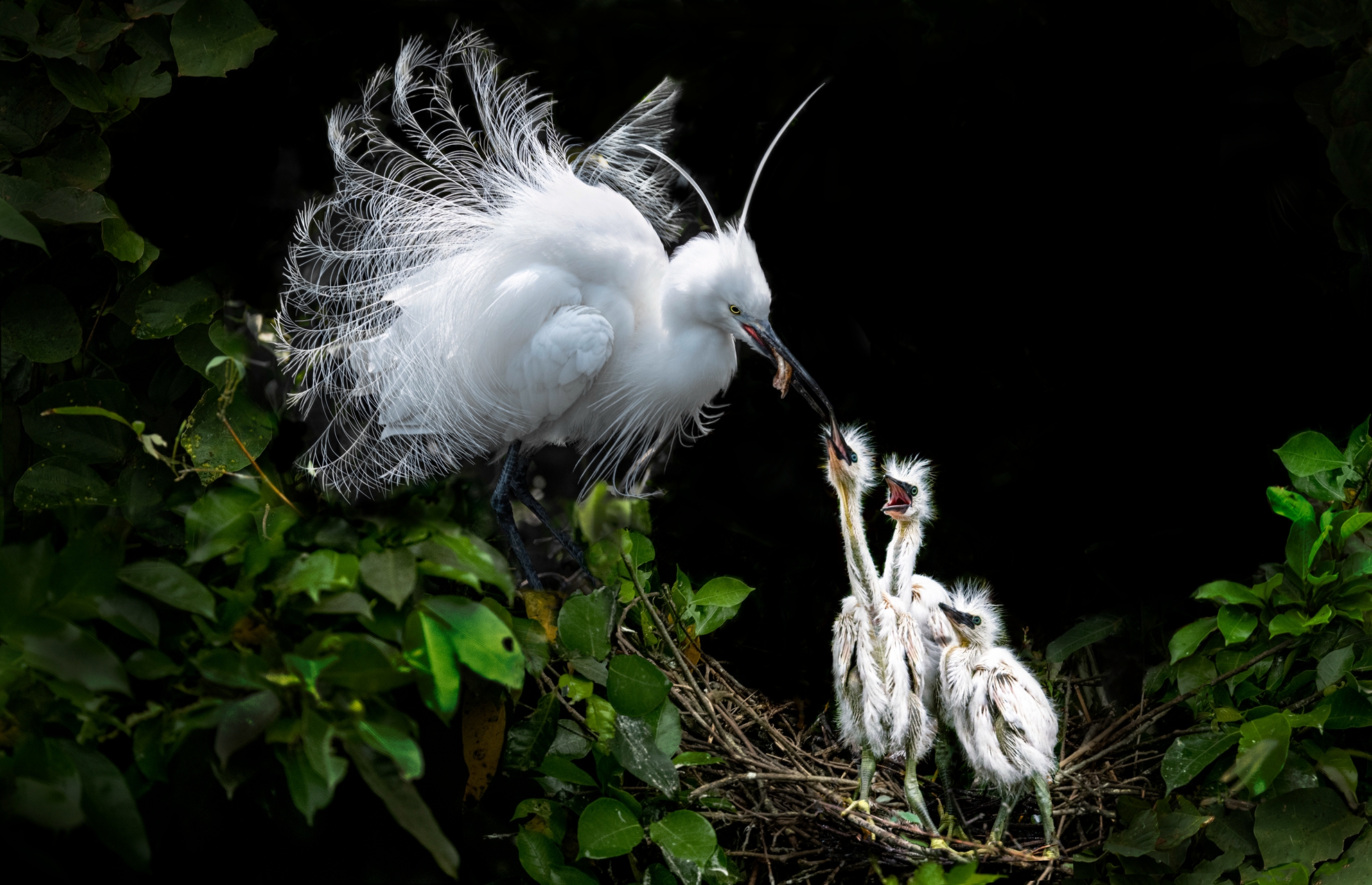 6月-佳作-洪子芸-愛
