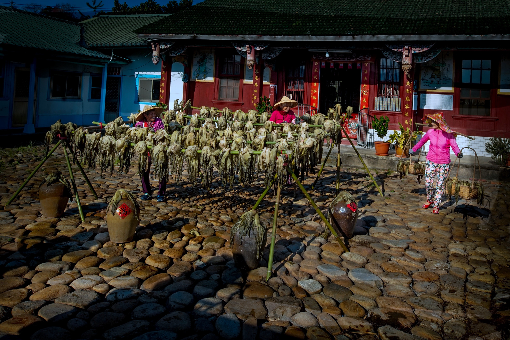 8月-入選-黃清圳-曬福菜