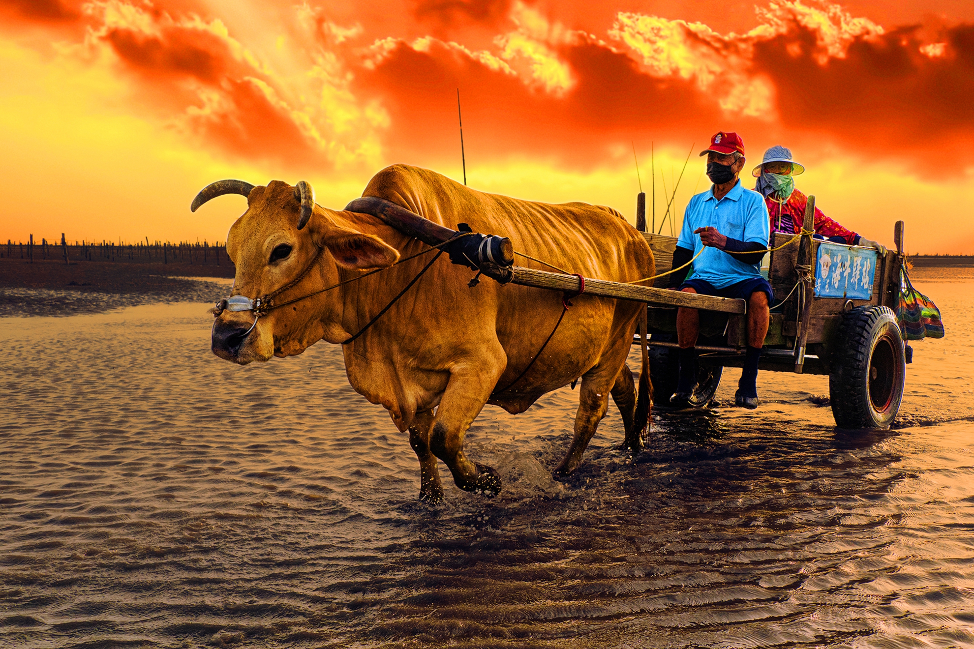 9月-入選-何為今-回家