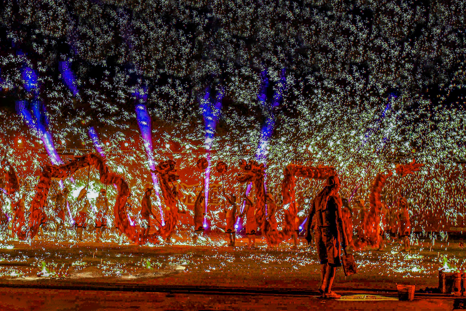 9月-入選-楊清福-火龍