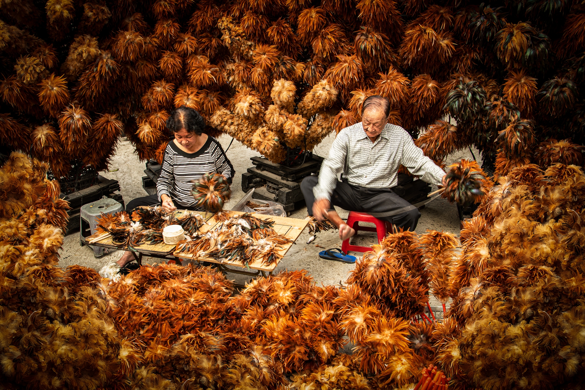 9月-入選-洪子芸-雞毛撢子達人