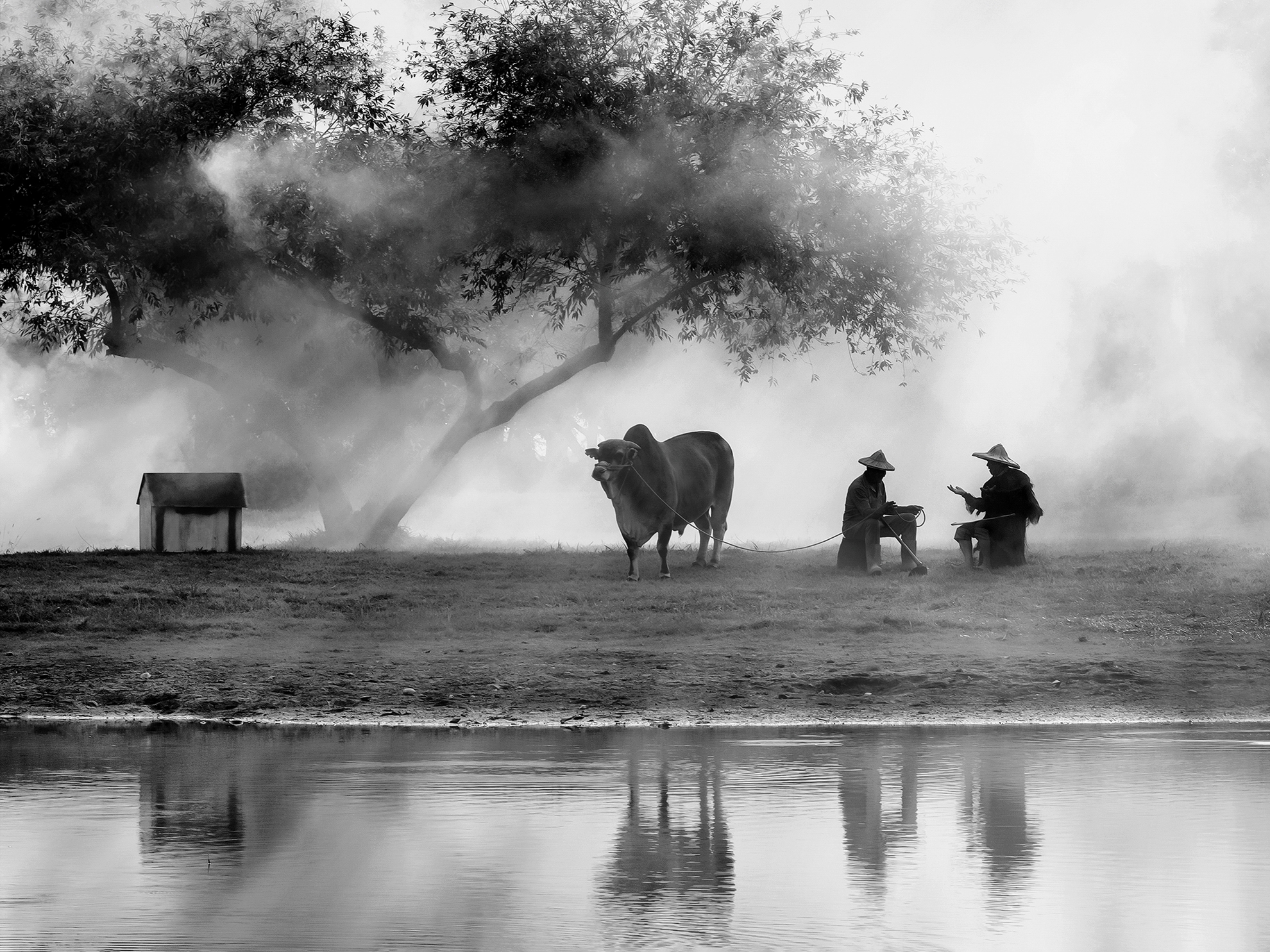 10月-入選-胡菀玲-煙霧話農情