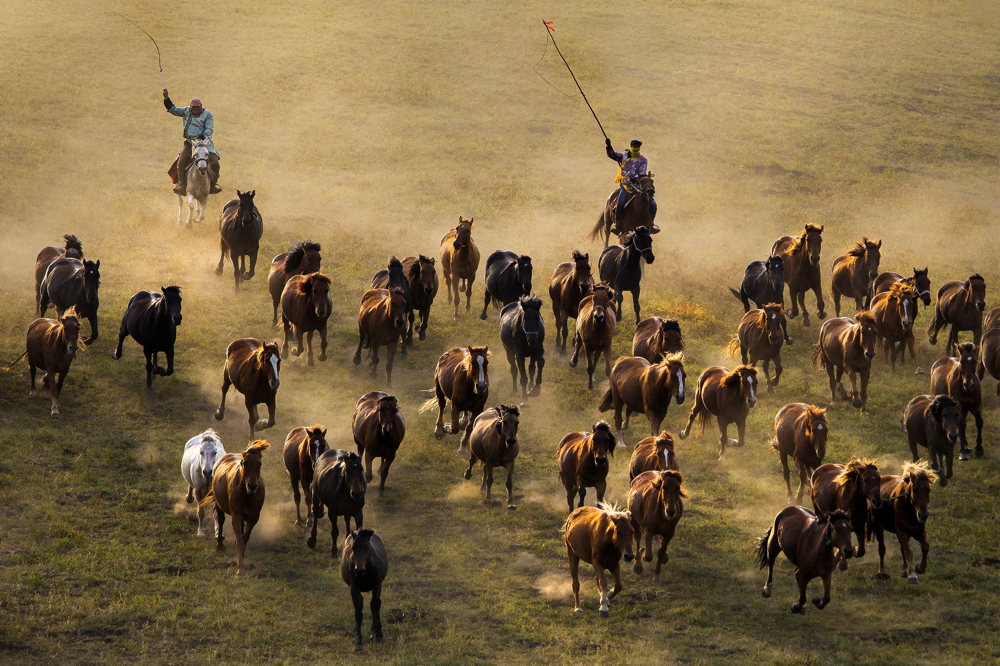 11月-佳作-楊清福-壩上奔馬