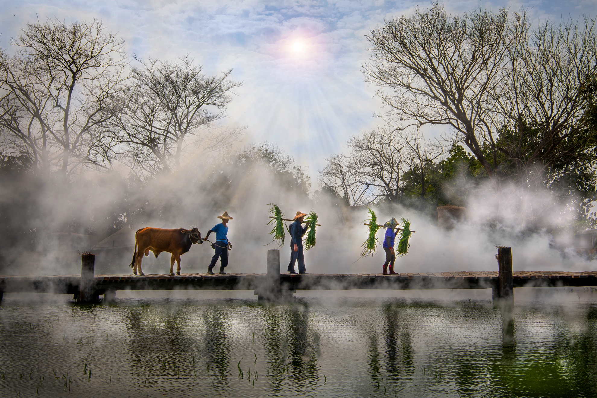 11月-入選-洪子芸-歸家