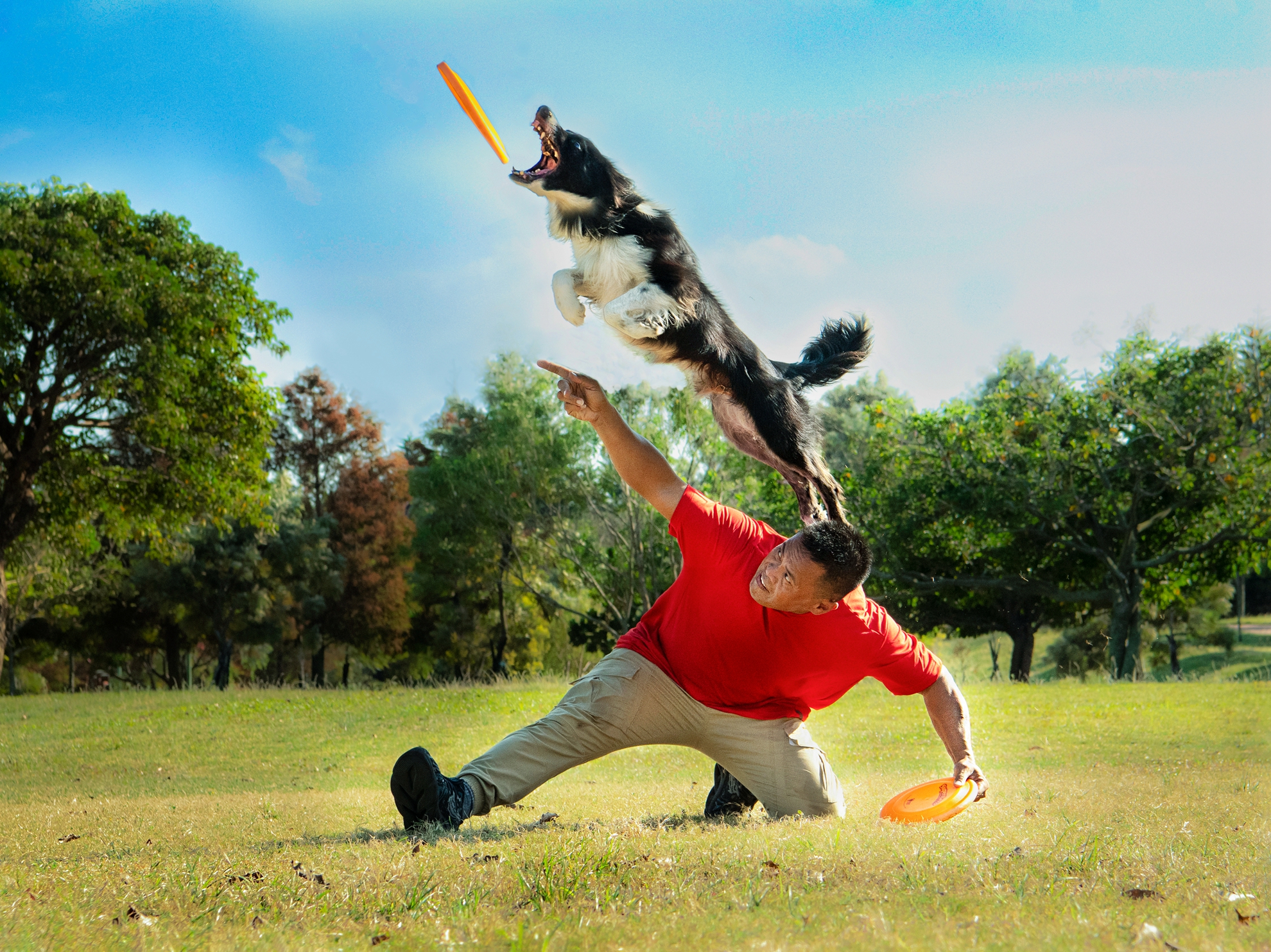 12月-入選-洪子芸-快樂飛盤狗