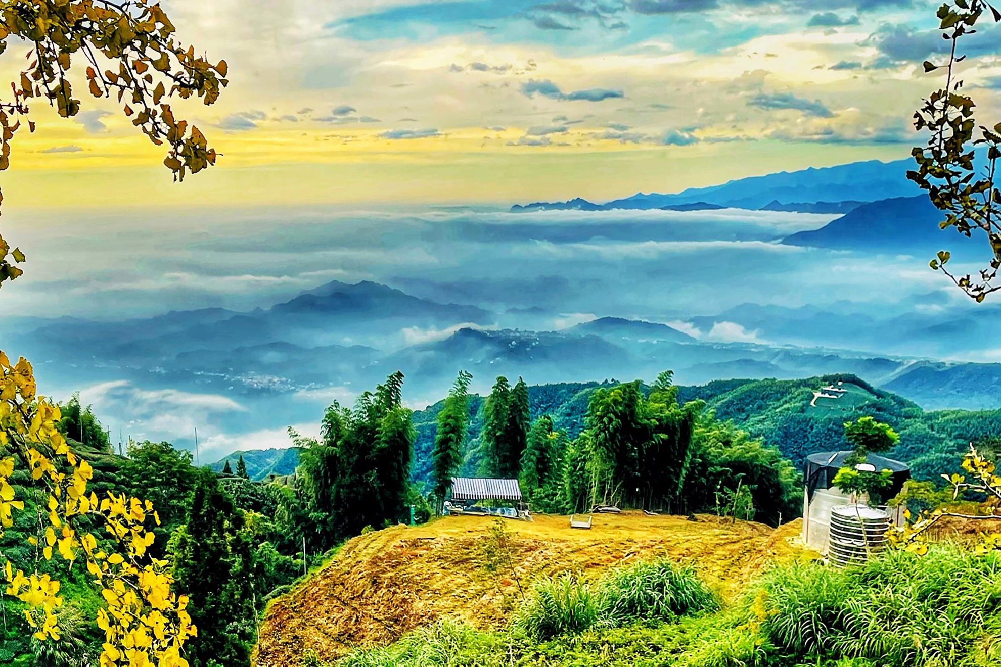 12月-入選-胡菀玲-大崙山雲海