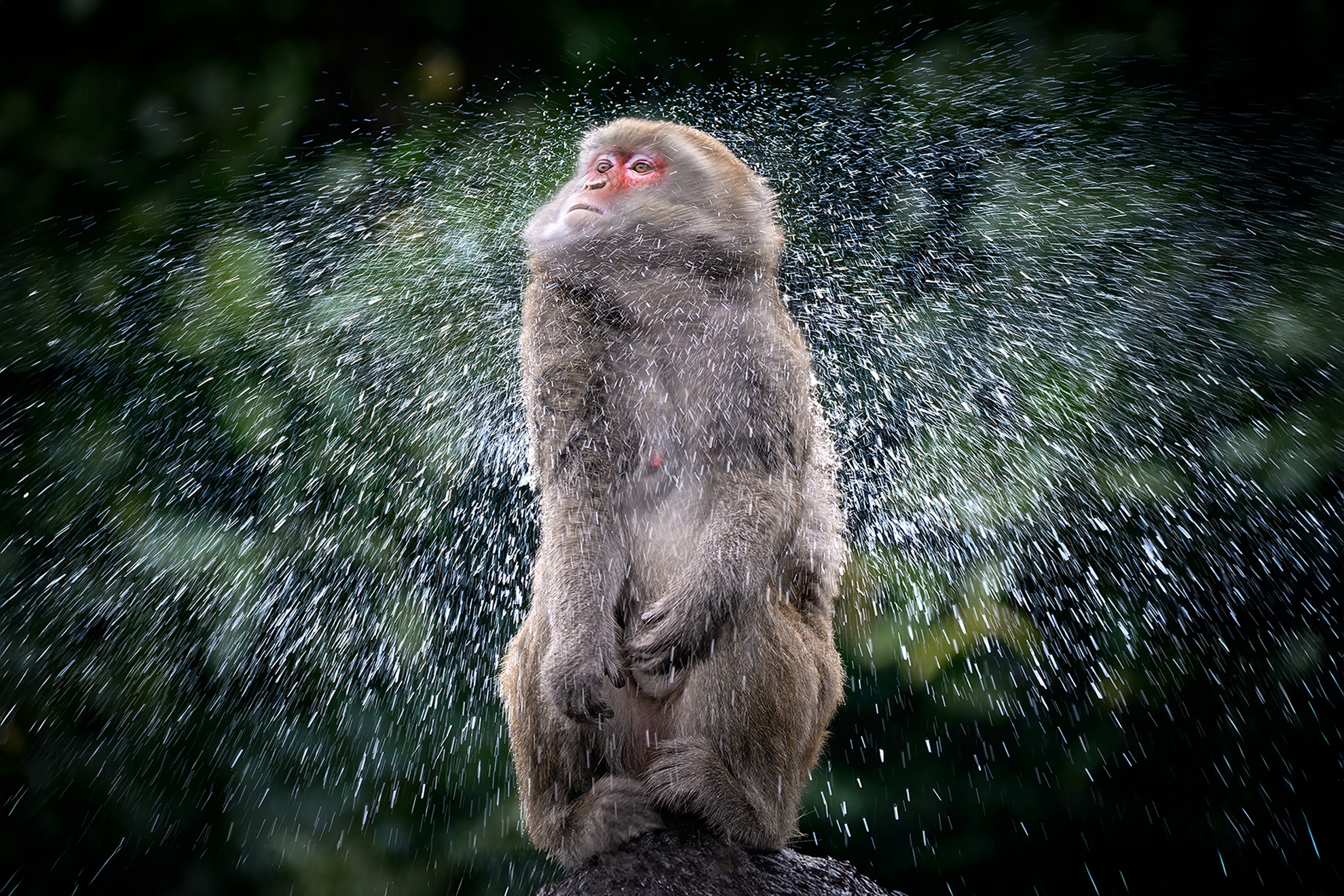 3月-入選-戴志英-甩頭