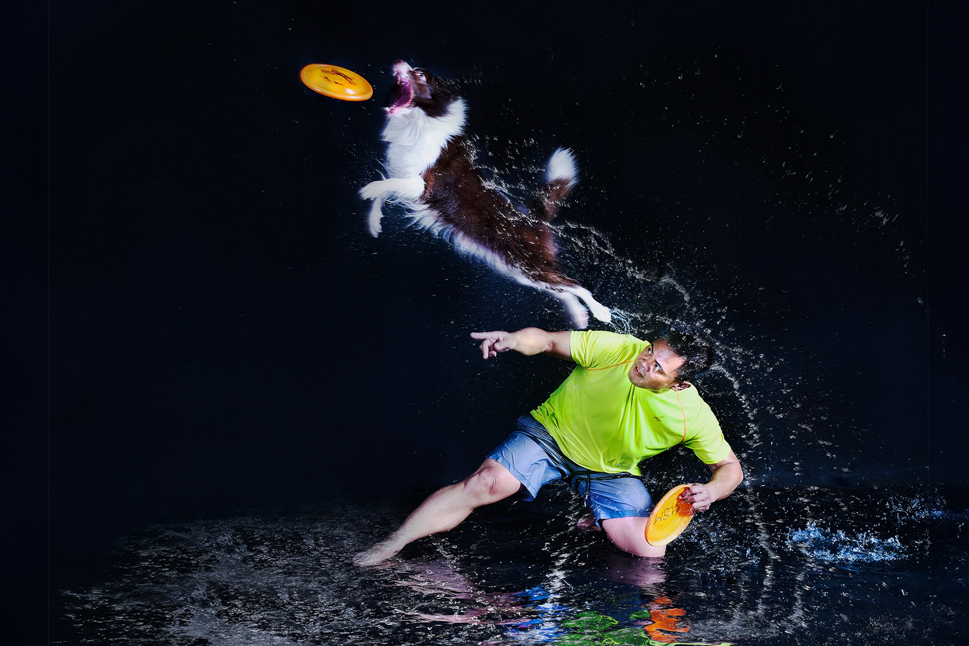 3月-入選-戴志英-飛盤狗