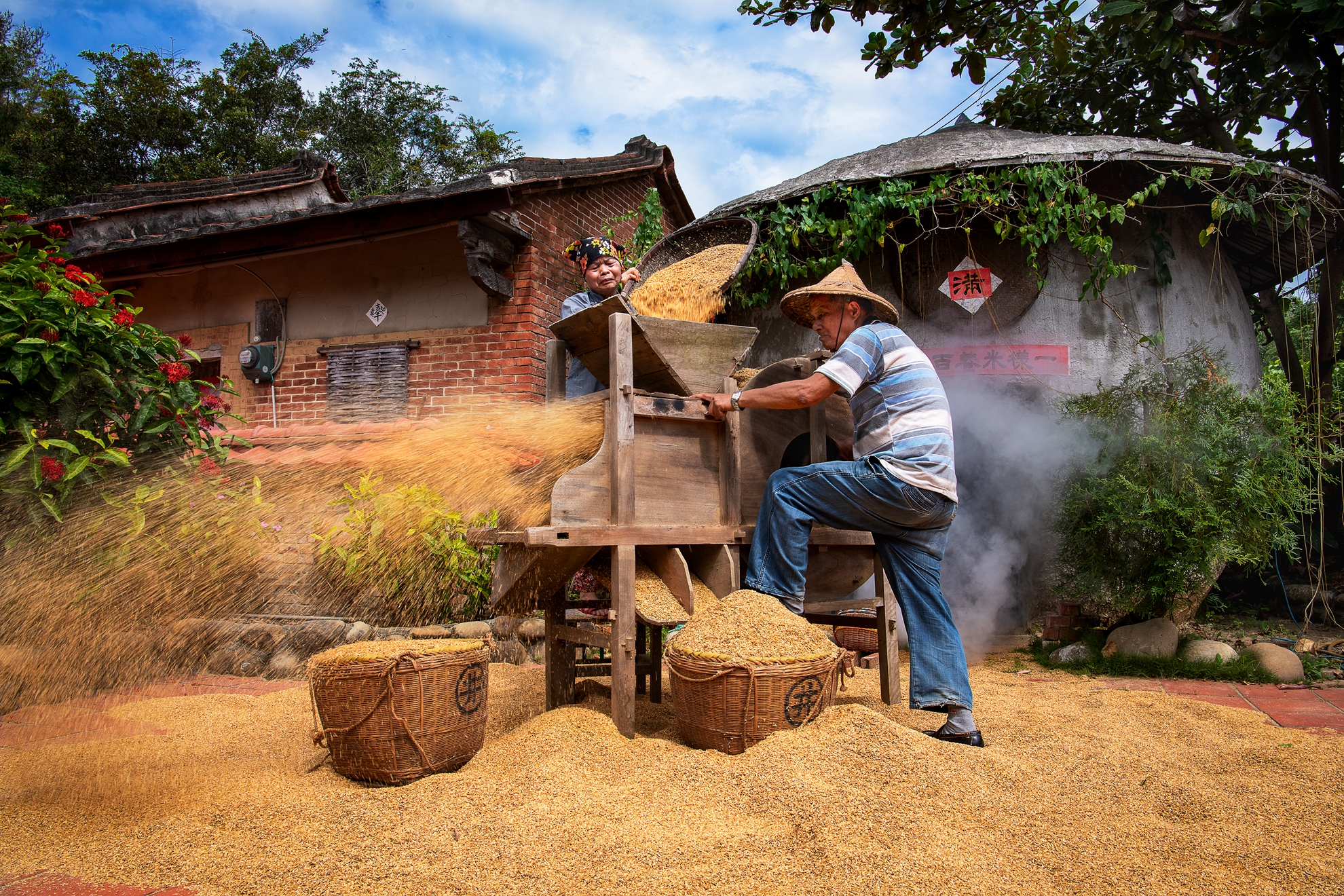 5月-入選-洪子芸-豐收