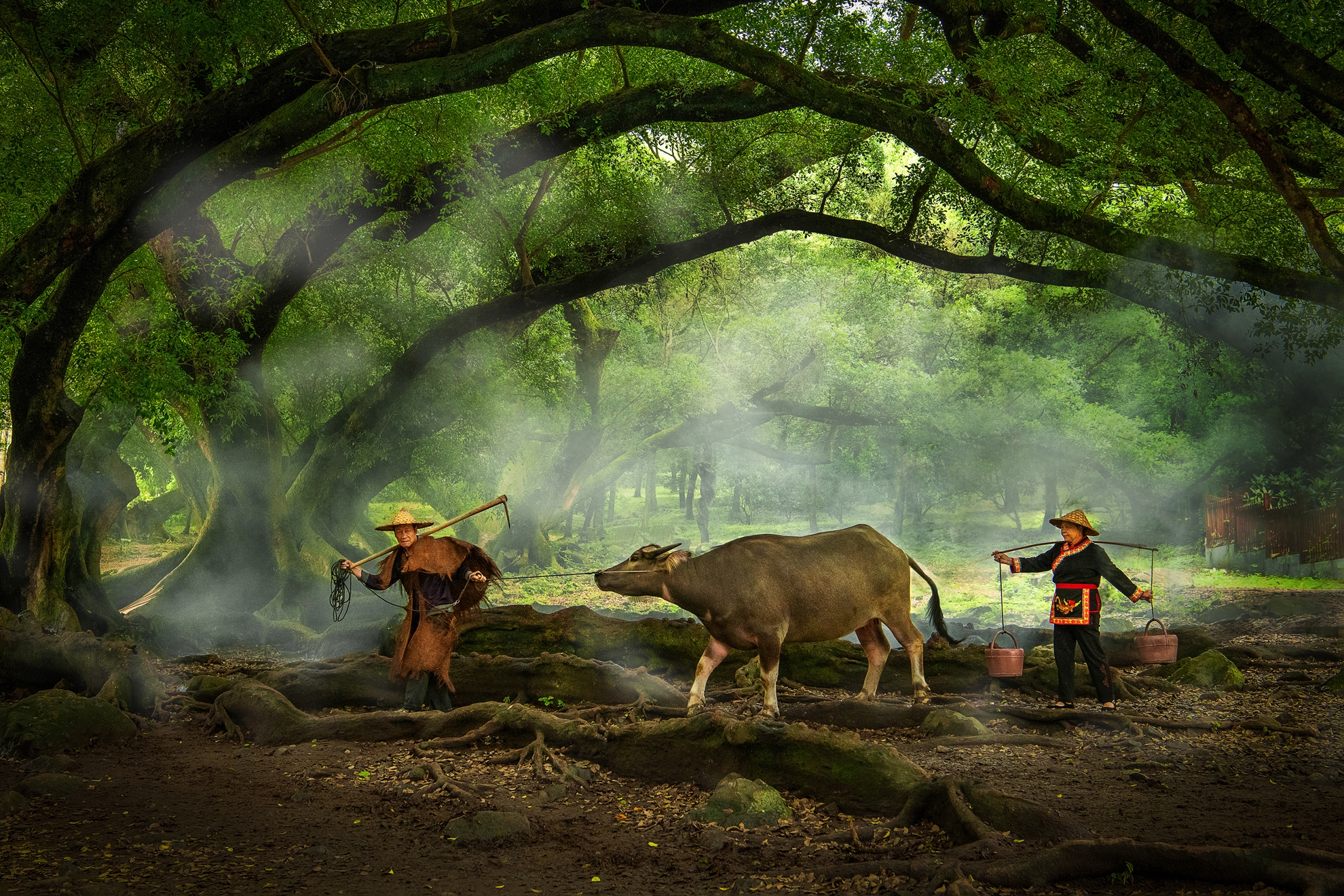 6月-佳作-洪子芸-農村曲