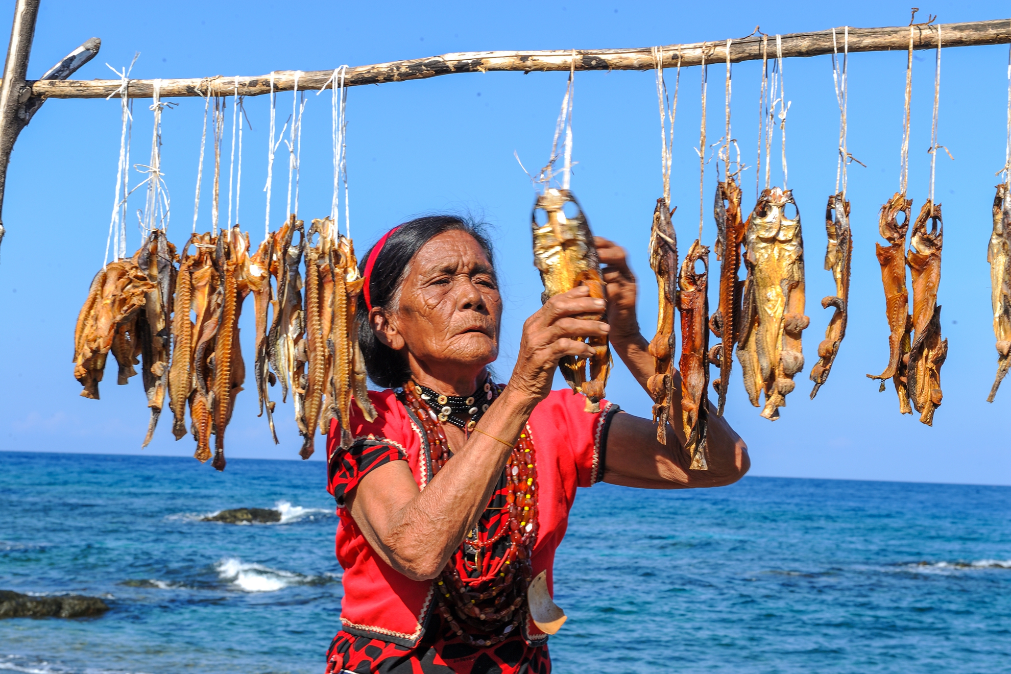 7月-(春)-入選-蔡閎任-蘭嶼曬飛魚