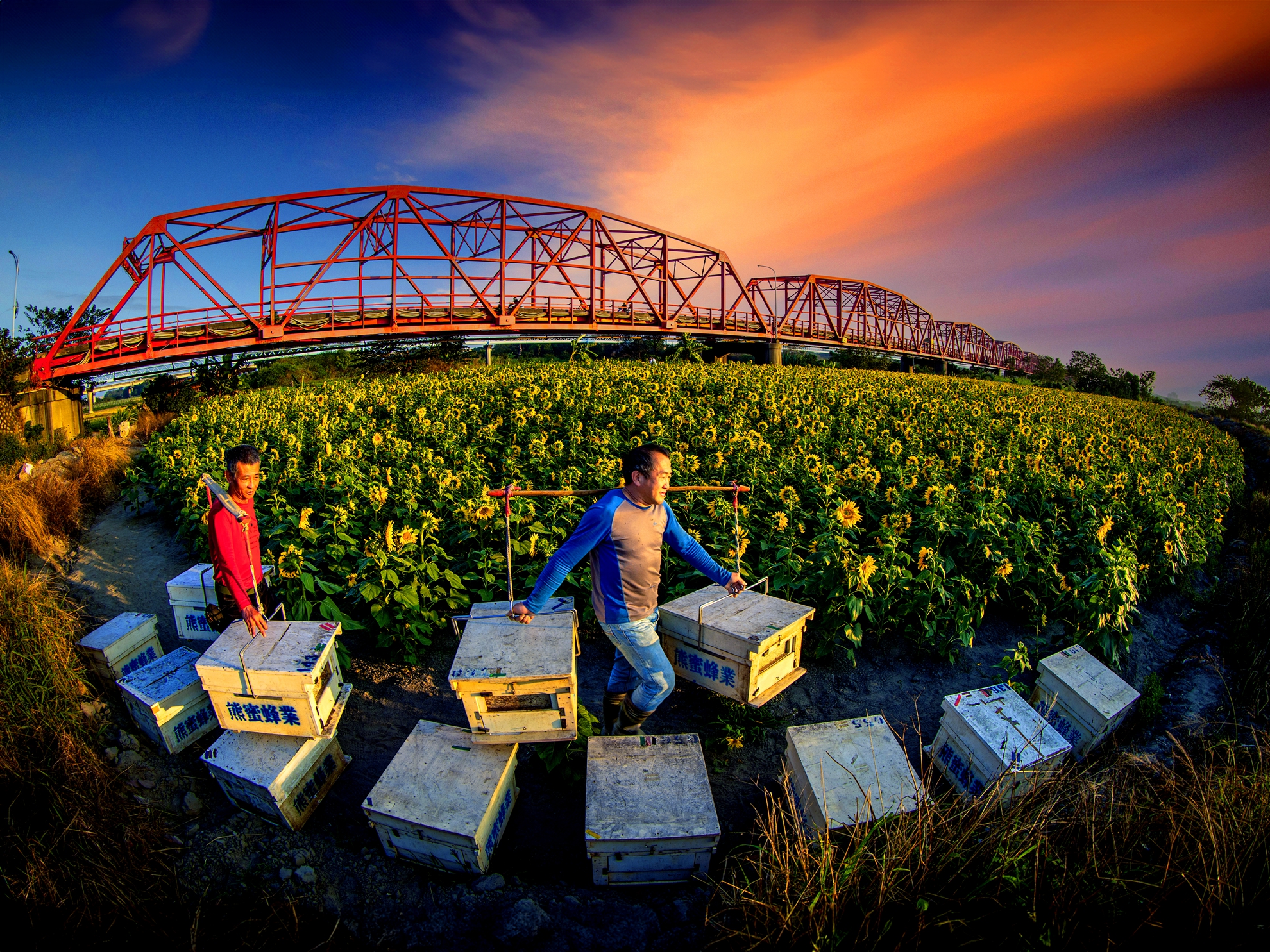 7月-(秋)-入選-陳安儀-養蜂人家