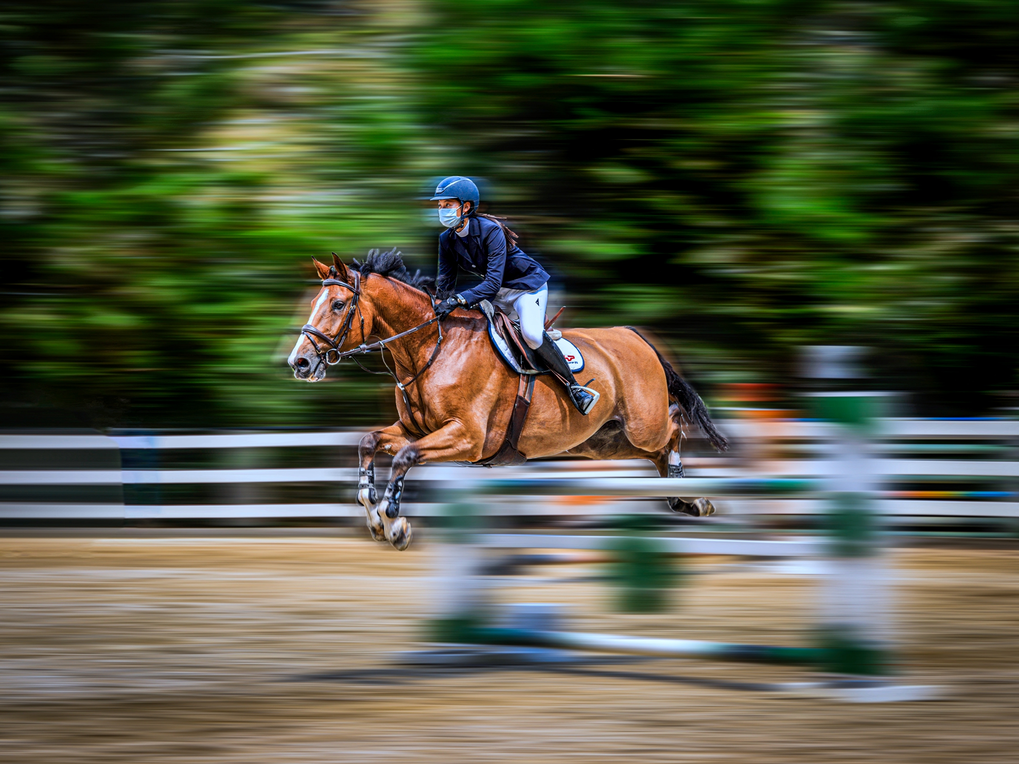 9月-(秋)-入選-陳安儀-縱馬芳影