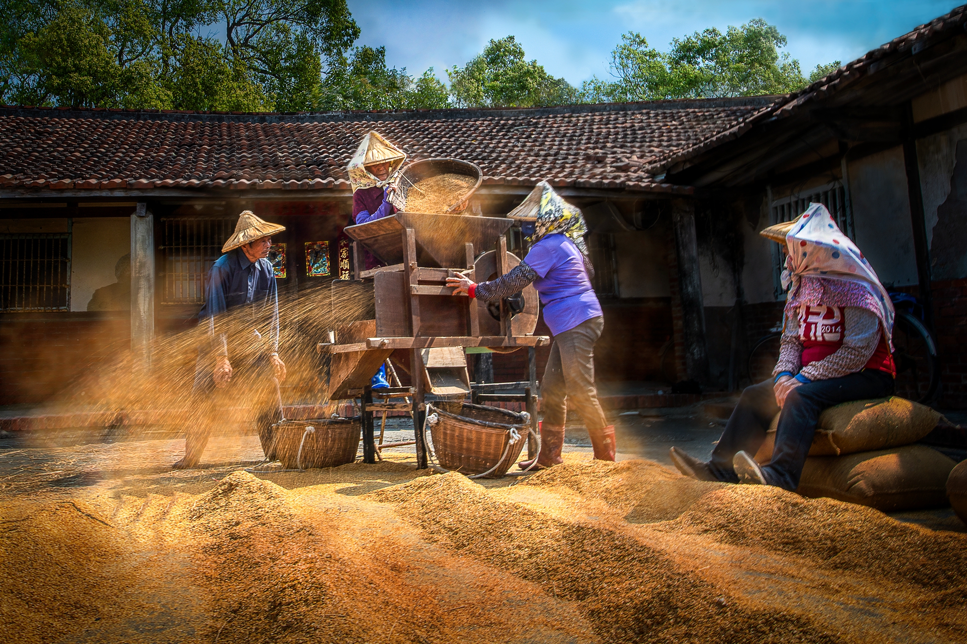 9月-佳作-洪子芸-豐收