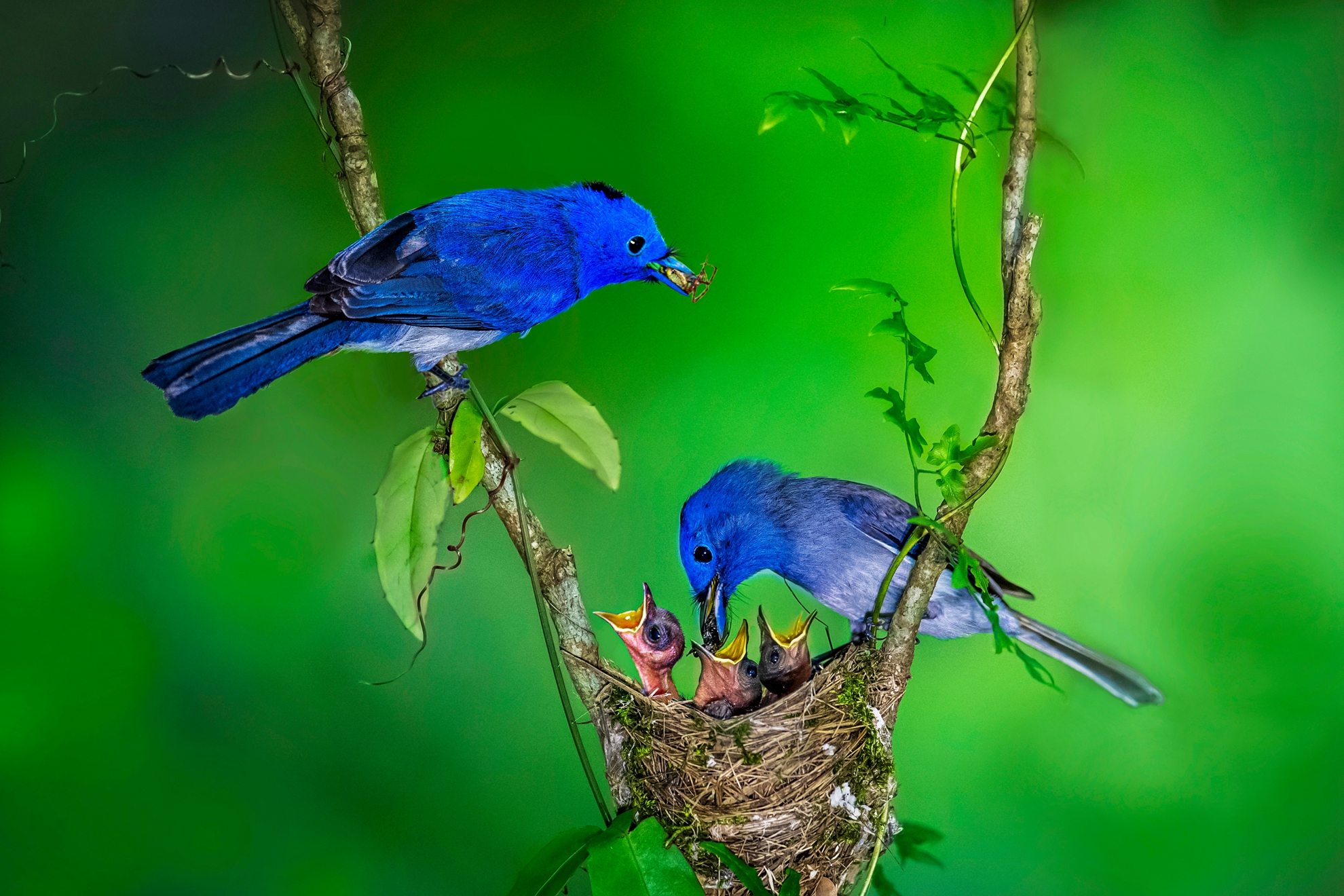 9月-入選-洪子芸-舐讀情深
