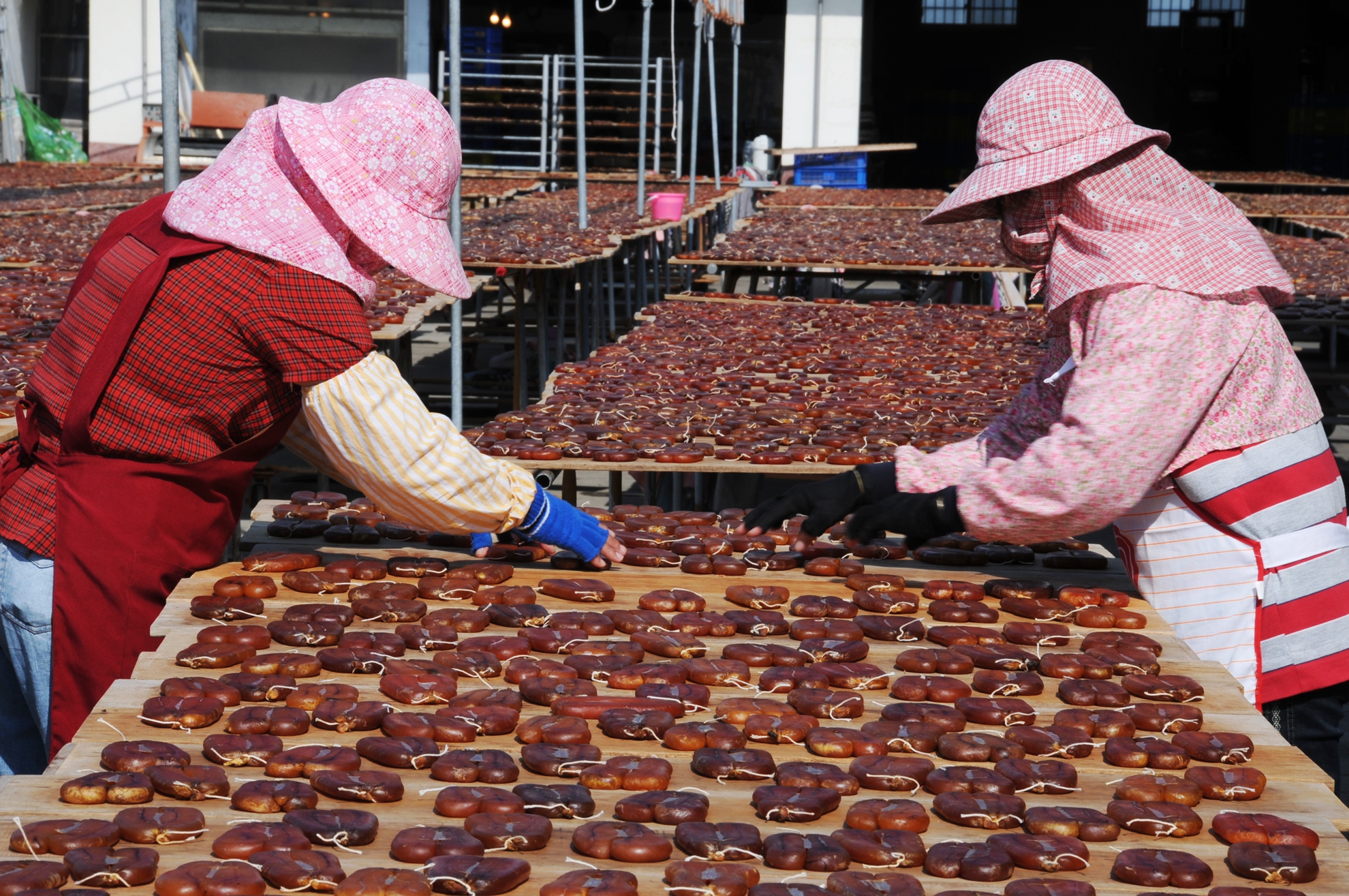 9月-入選-蔡閎任-曬烏魚子