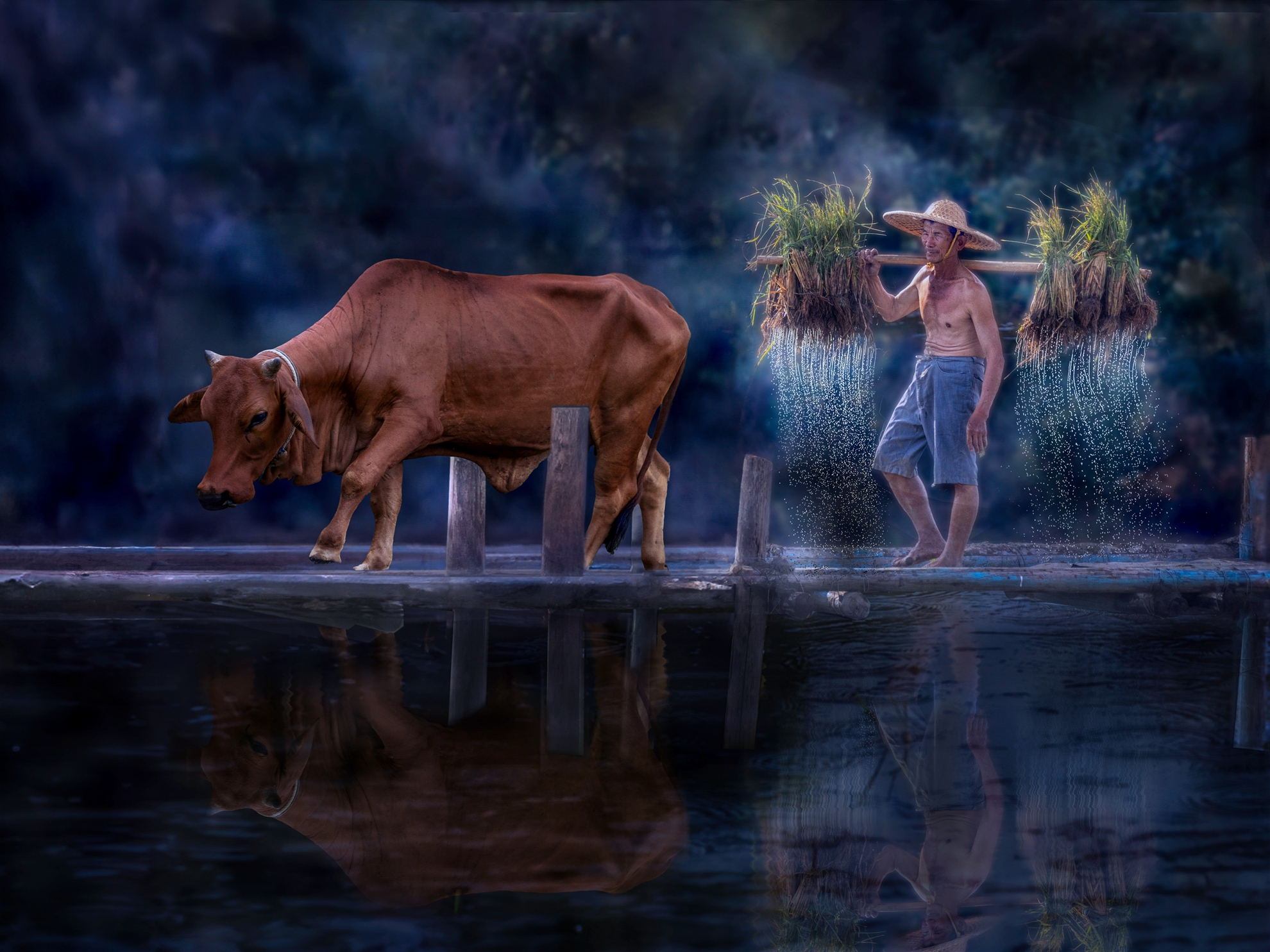 9月-入選-黃清圳-農夫