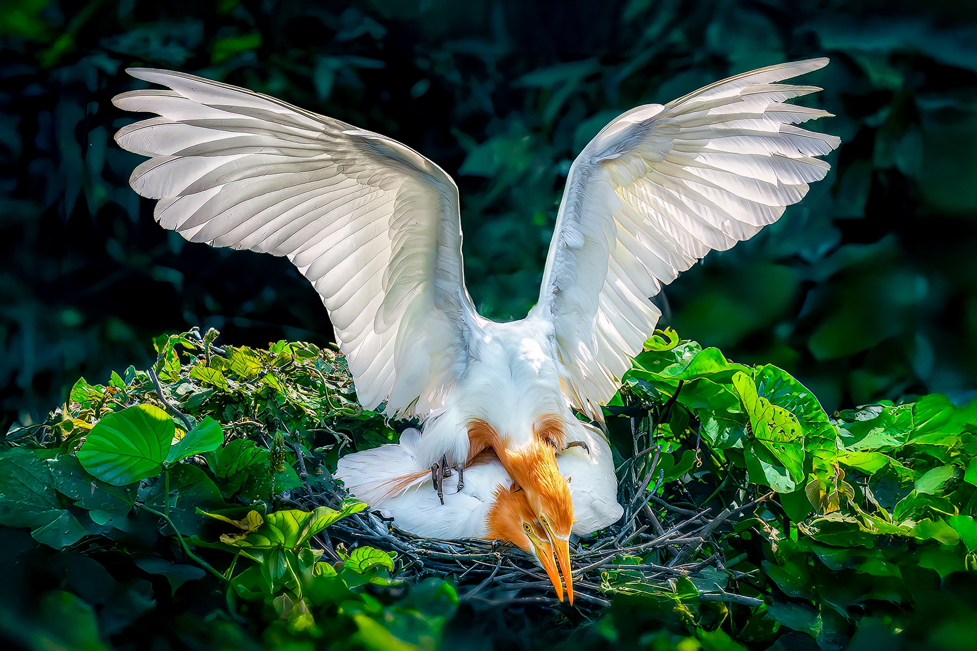 11月-入選-戴志英-相愛
