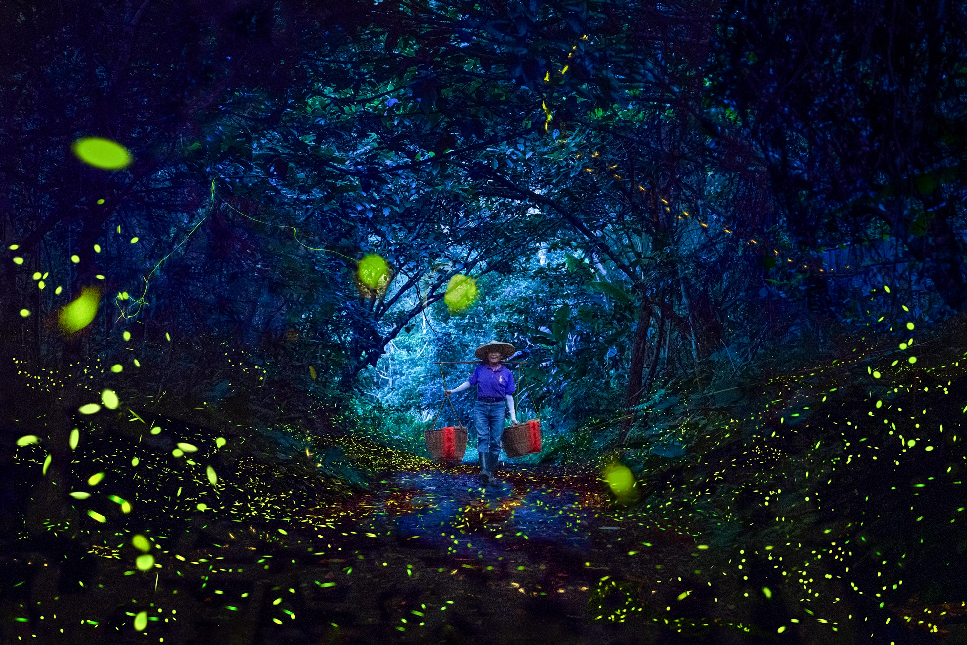 11月-入選-洪子芸-夏夜火金蛄