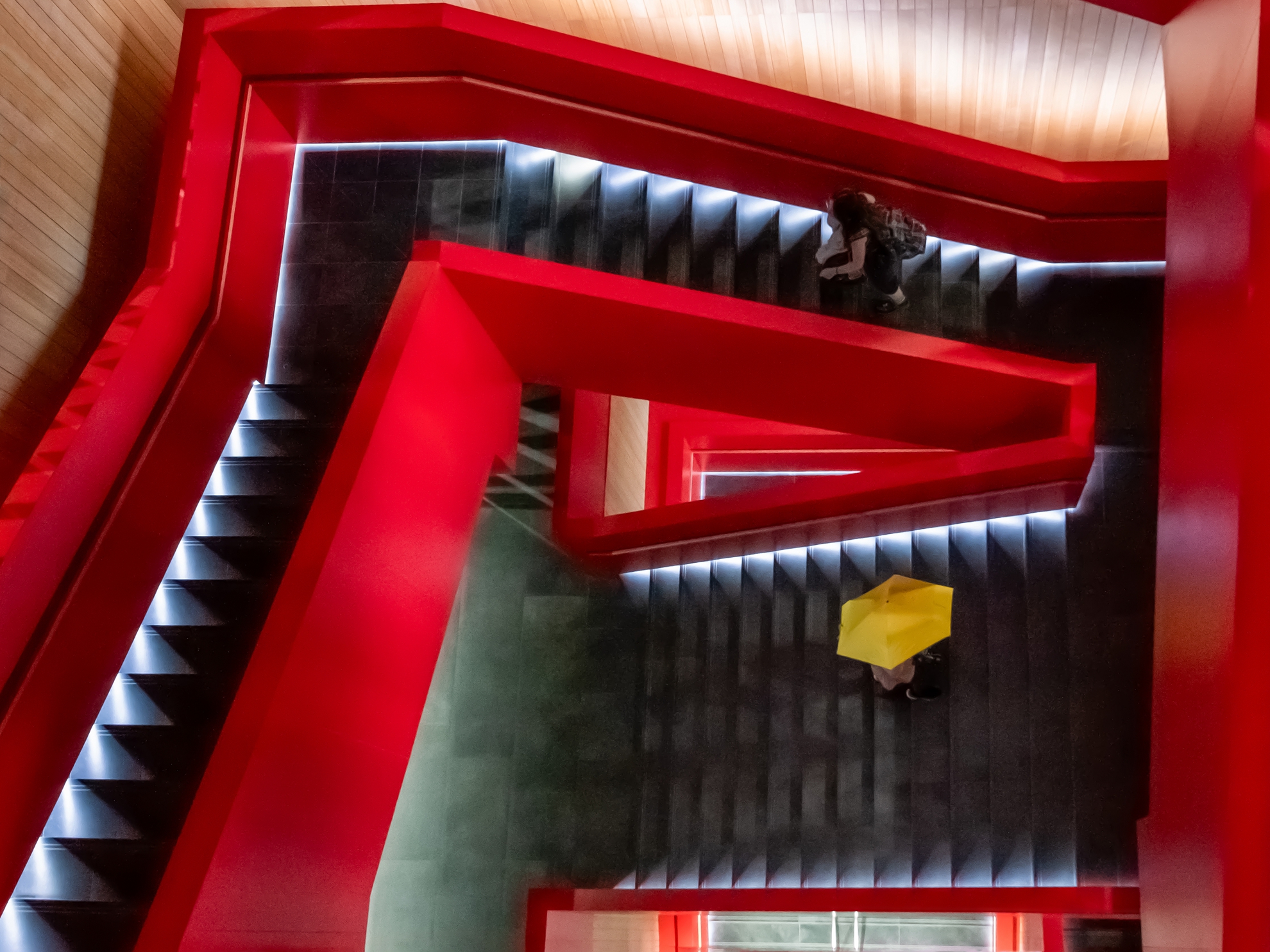 11月-入選-洪子芸-迴