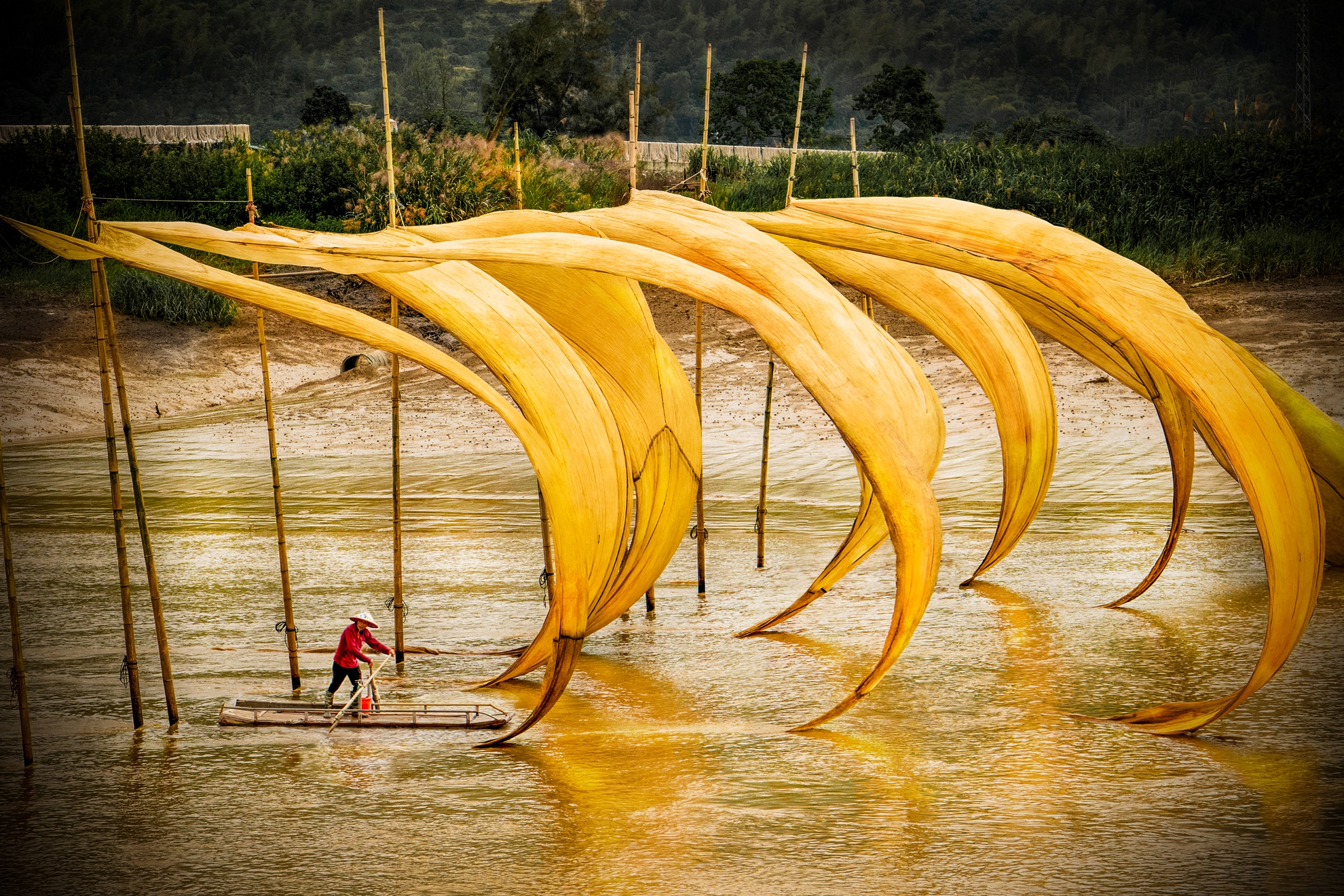 12月-入選-洪子芸-日出而作