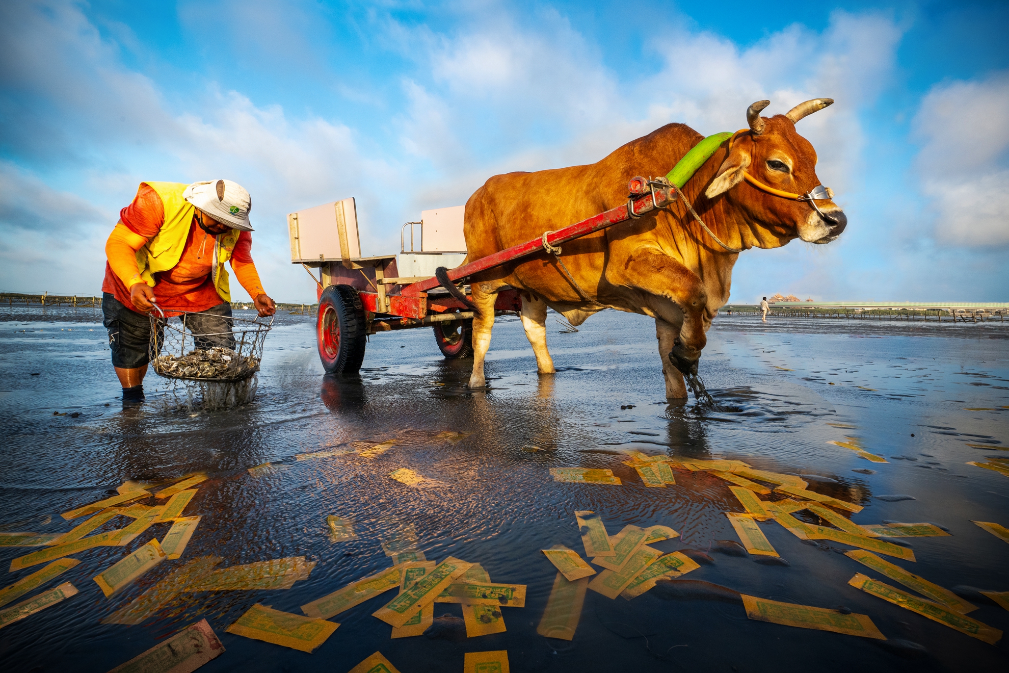 12月-入選-洪子芸-海牛與漁夫