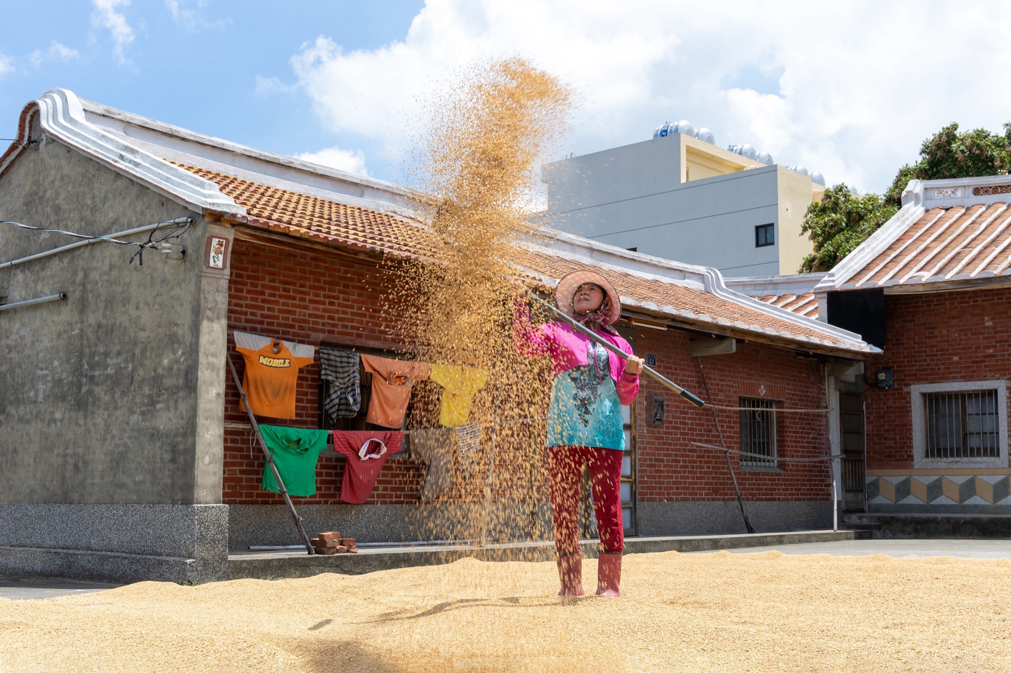 5月-(秋)-入選-陳安儀-夏日曬穀