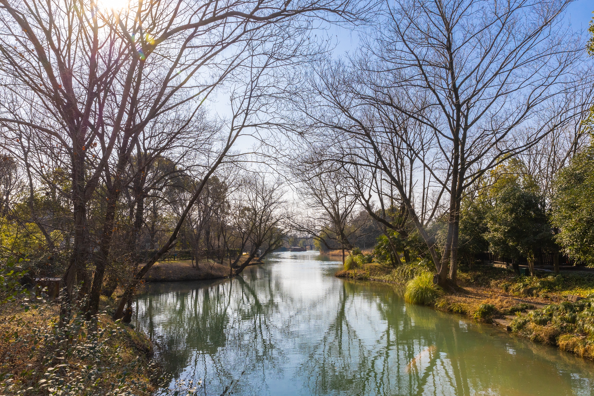 6月-(秋)-入選-陳安儀-湖光疏影一葉