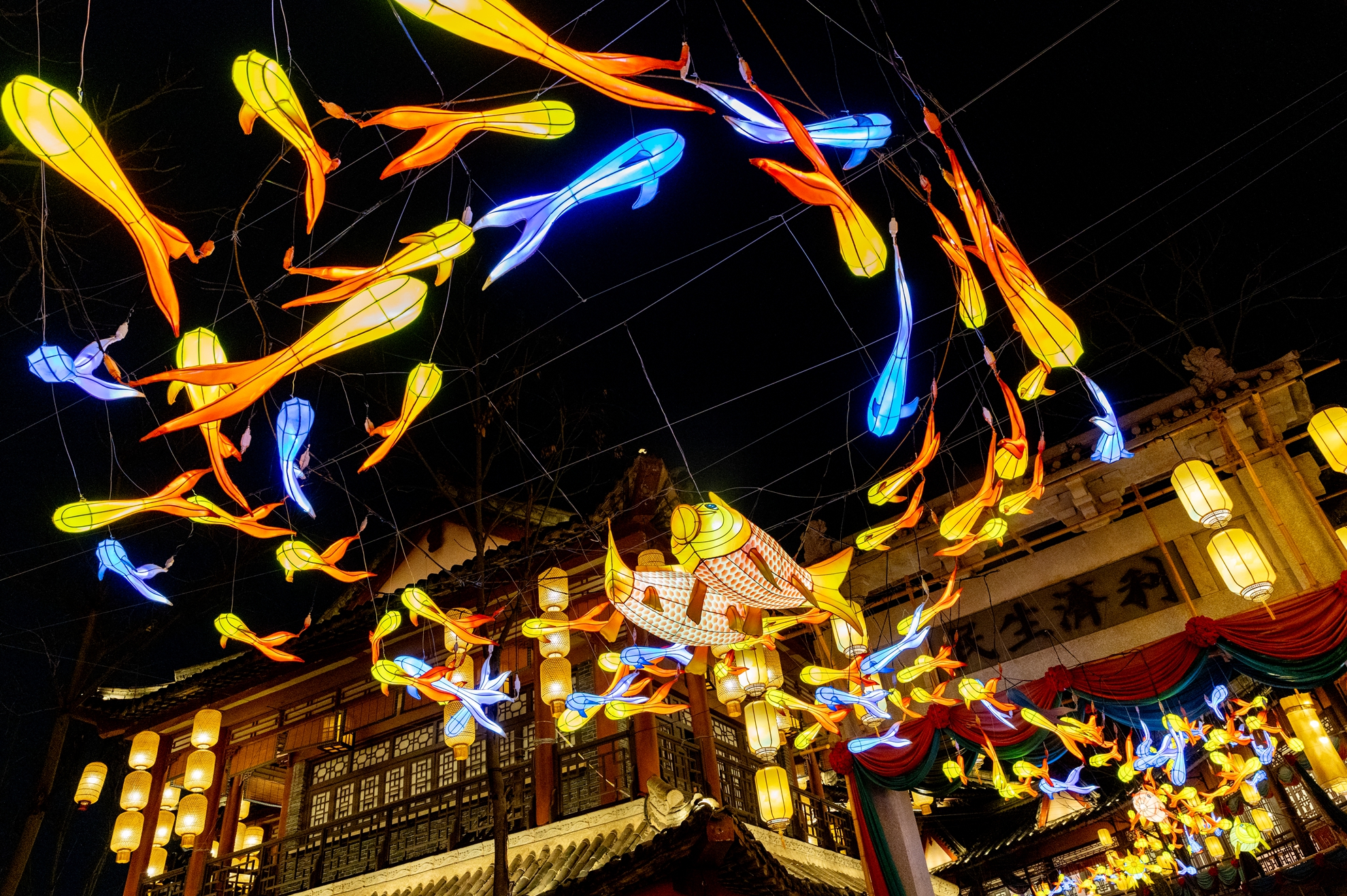 6月-(秋)-入選-陳安儀-燈影幻游