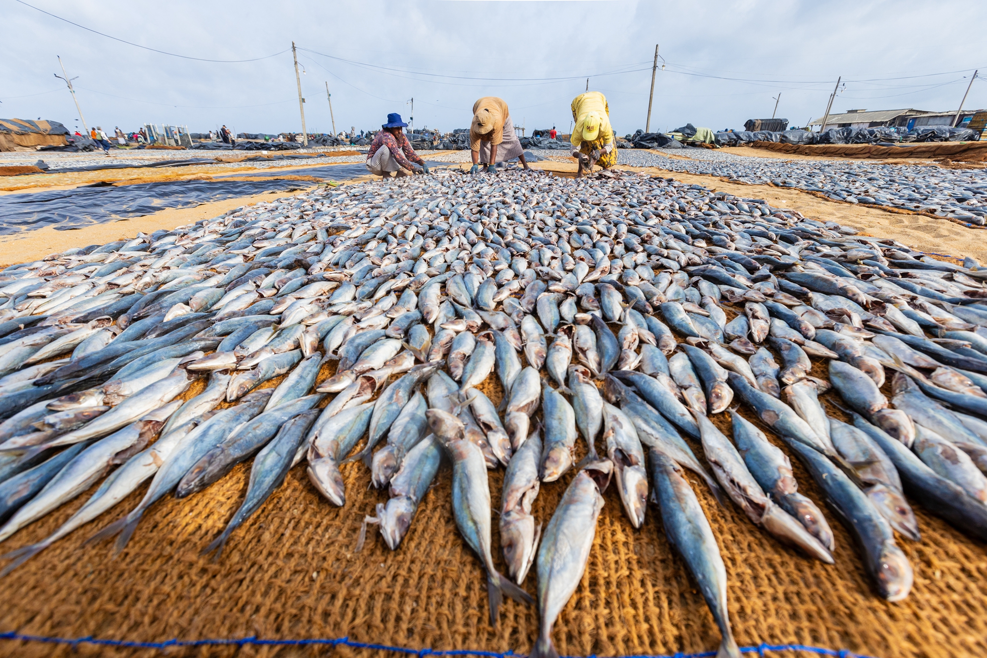 2月-(春)-佳作-陳安儀-漁鹽之地