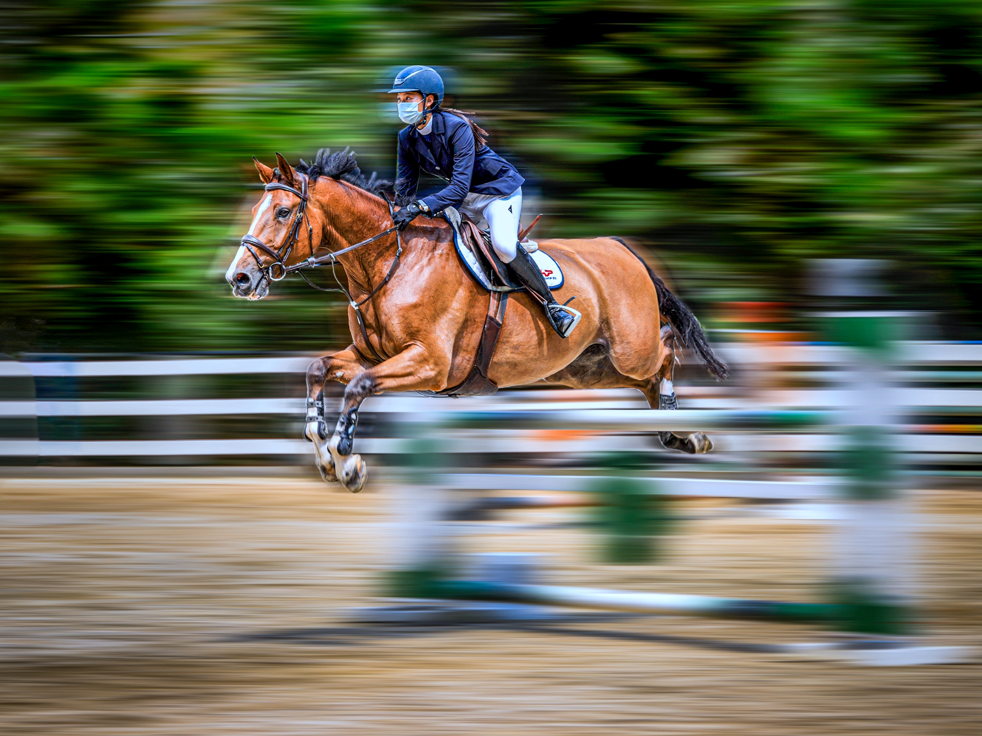 4月-(春)-入選-陳安儀-馳影